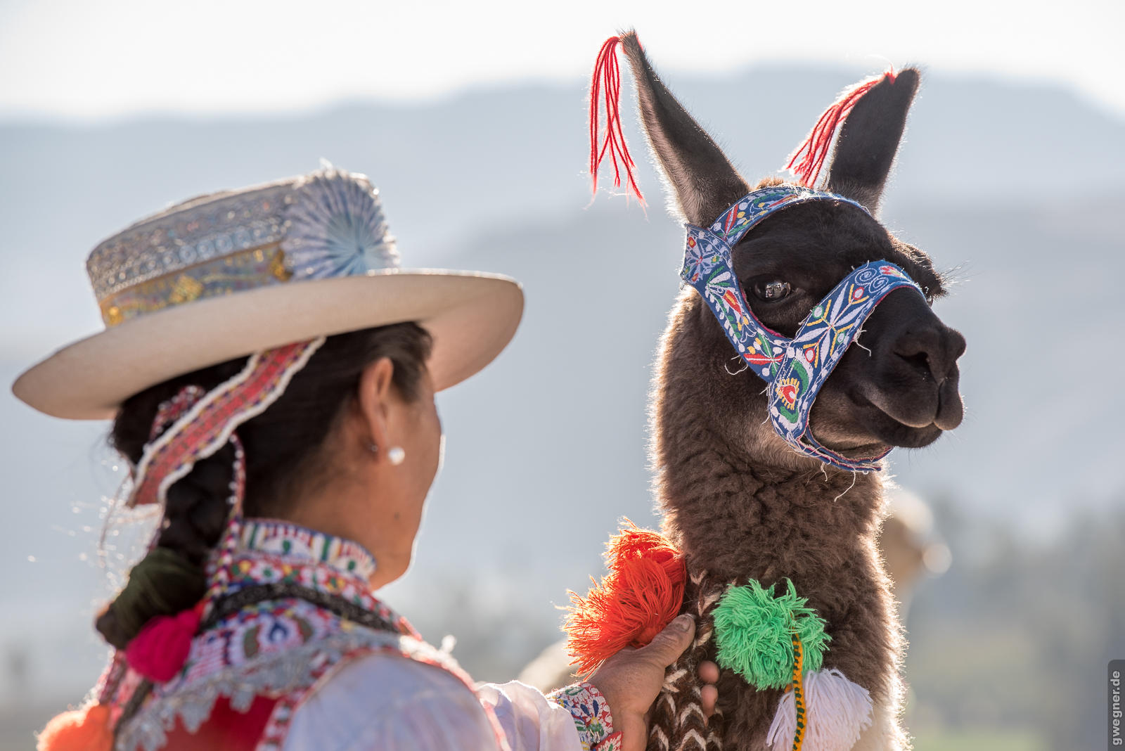 Peru Aymara Frau + Lama gwegner