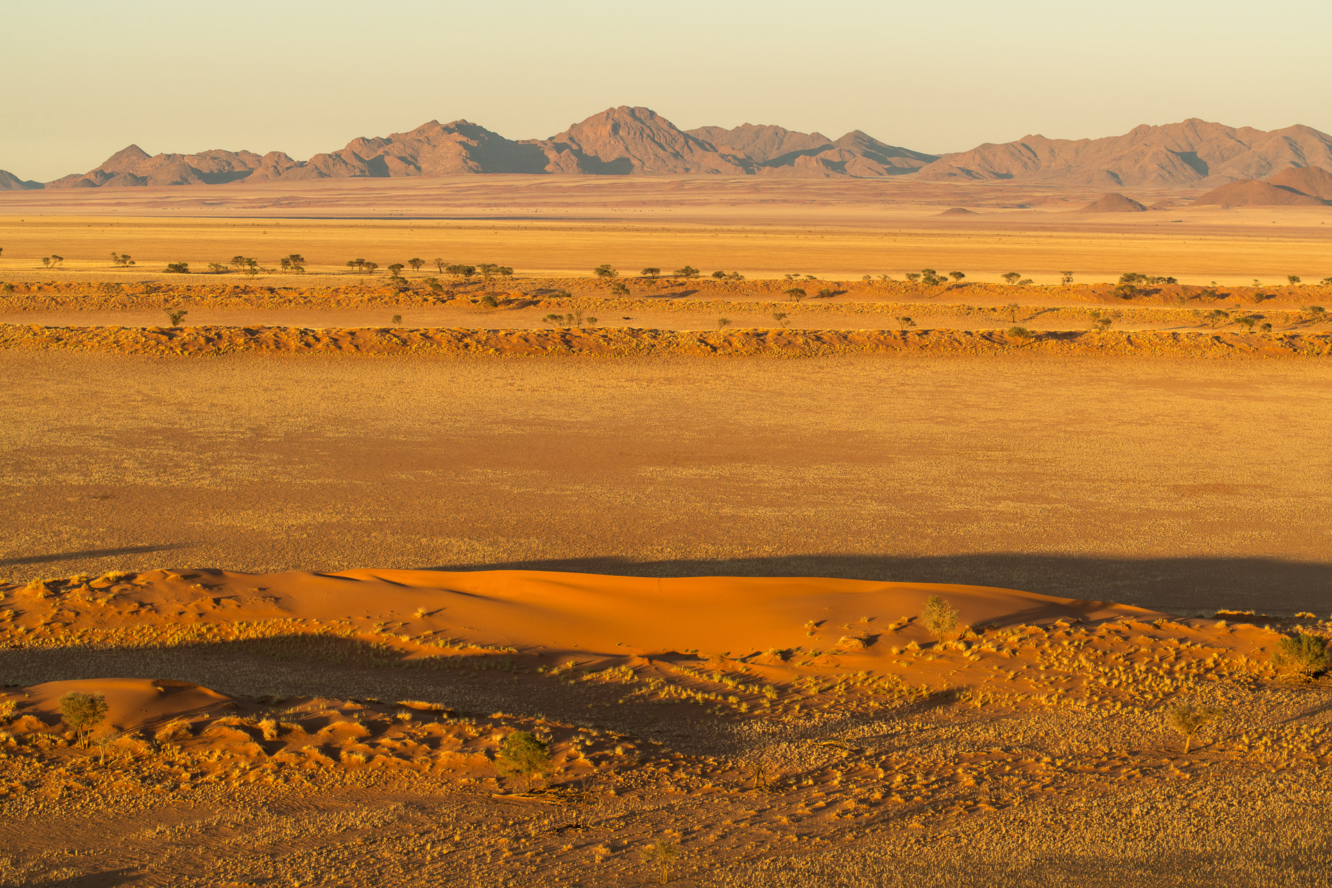 Namibia Landschaft golden light