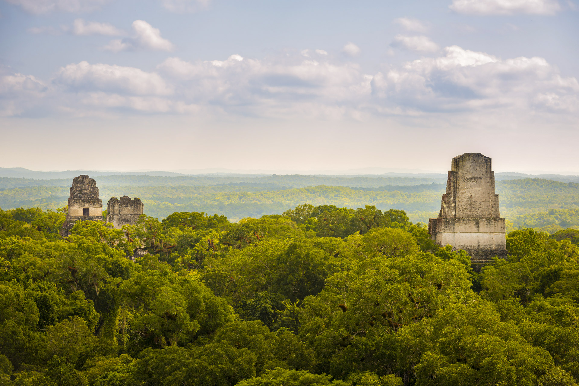 Guatemala - Tikal im Regenwald
