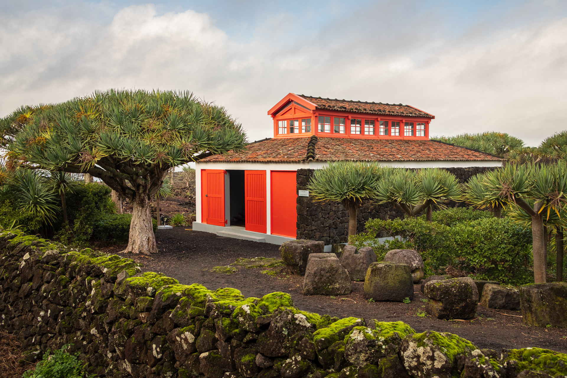 Im Weinmuseum von Pico. (Azoren)