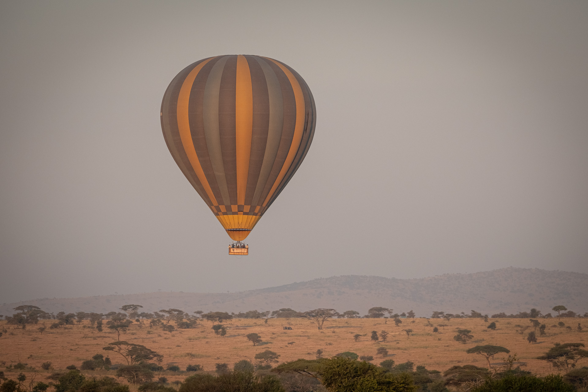 Heißluftballon über der nördlichen Serengeti.