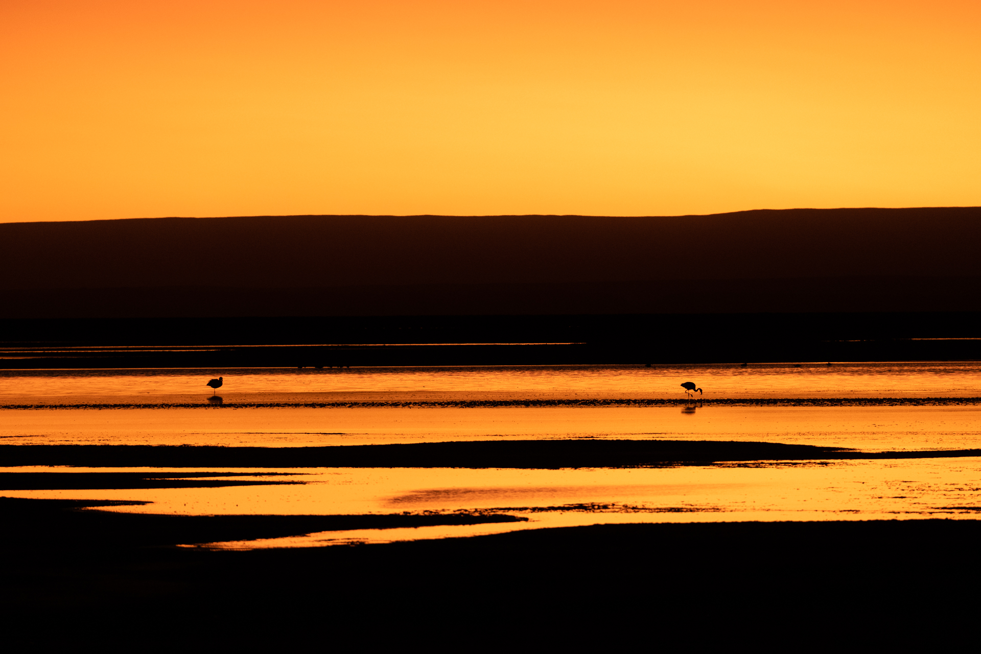 Sonnenuntergang an der Laguna Chaxa mit Flamingos.