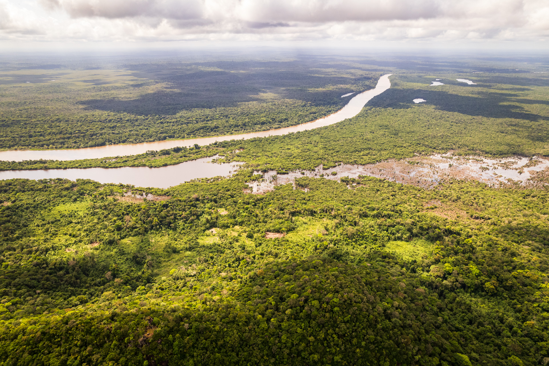 Drone Shot of Rainforest and River in Guyana.