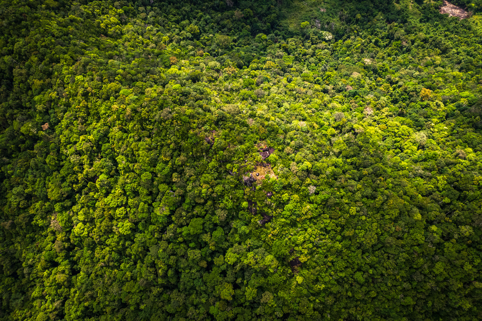 Aerial of Awarmie Mountain in Guyana.