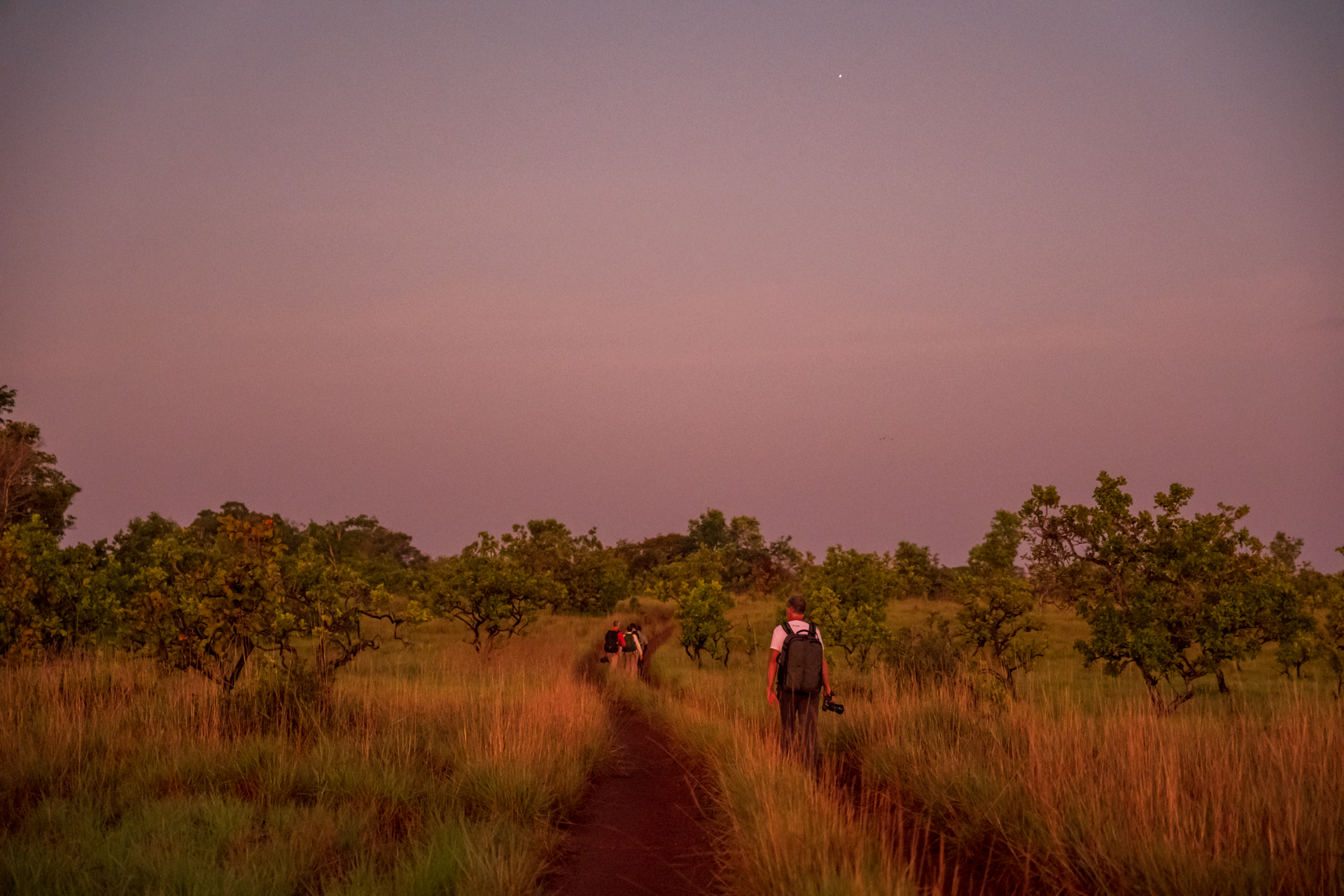 Blue hour over the savannah in Guyana.