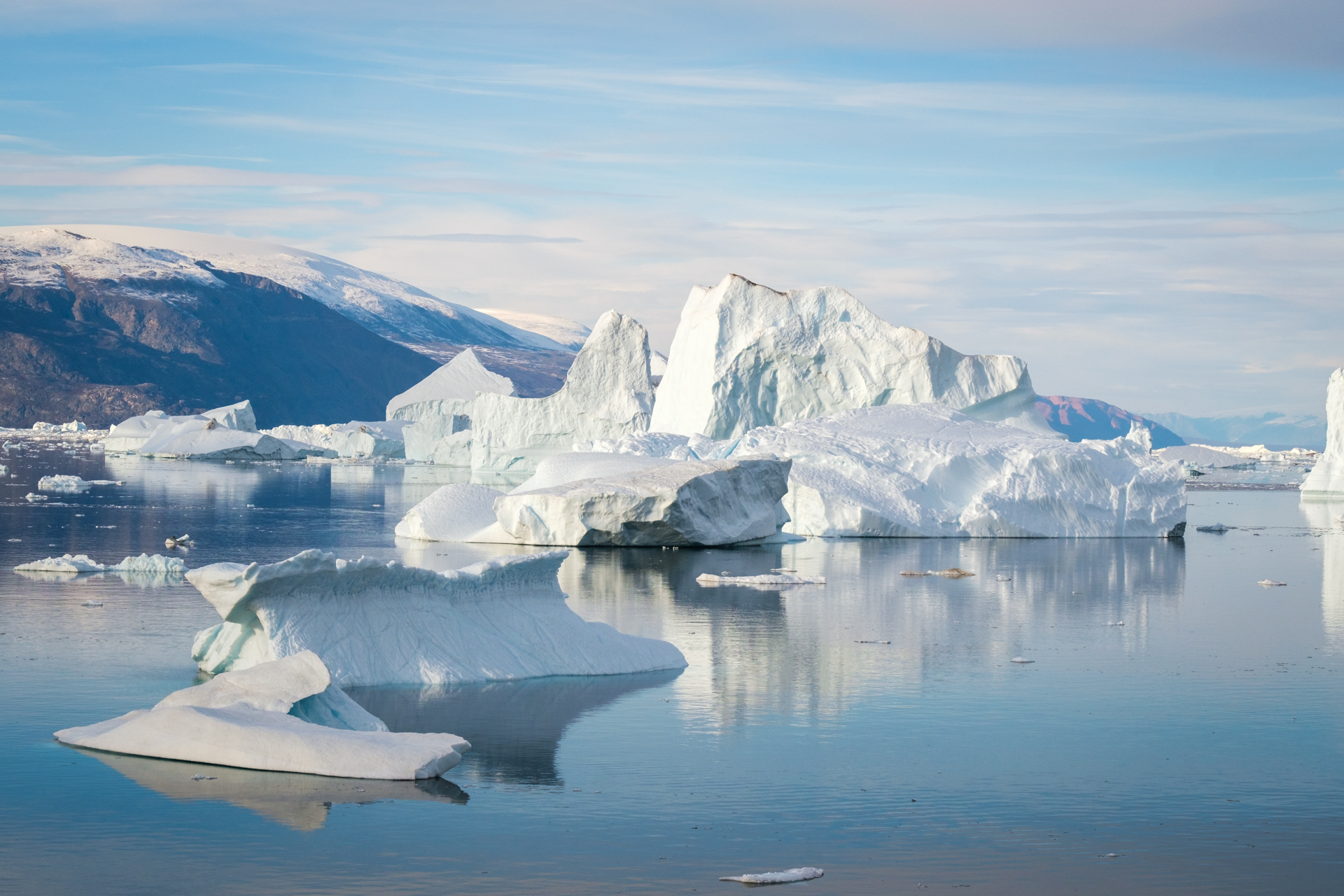 Icebergs in Rødefjord.
