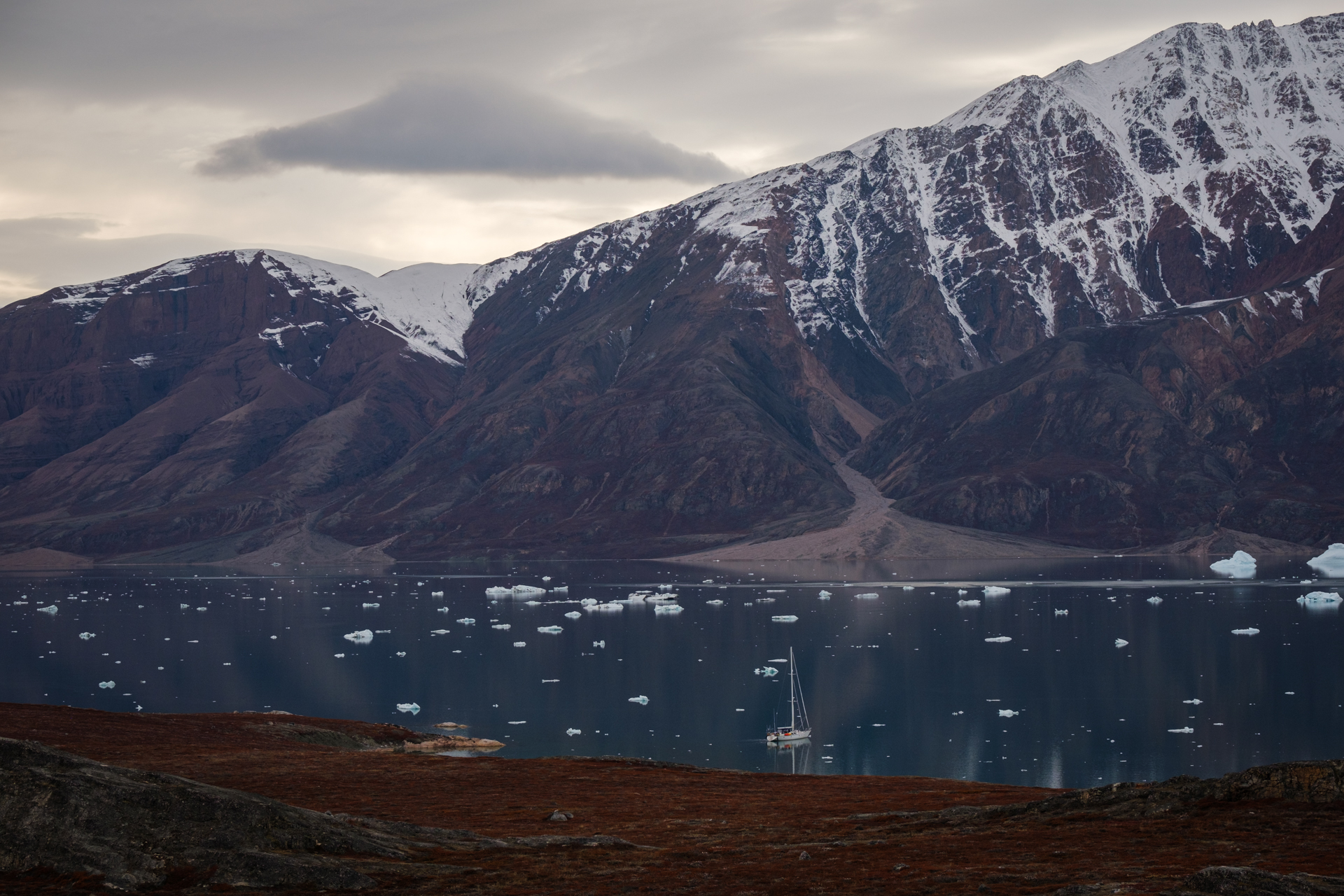 Sailing yacht in Scoresbysund.