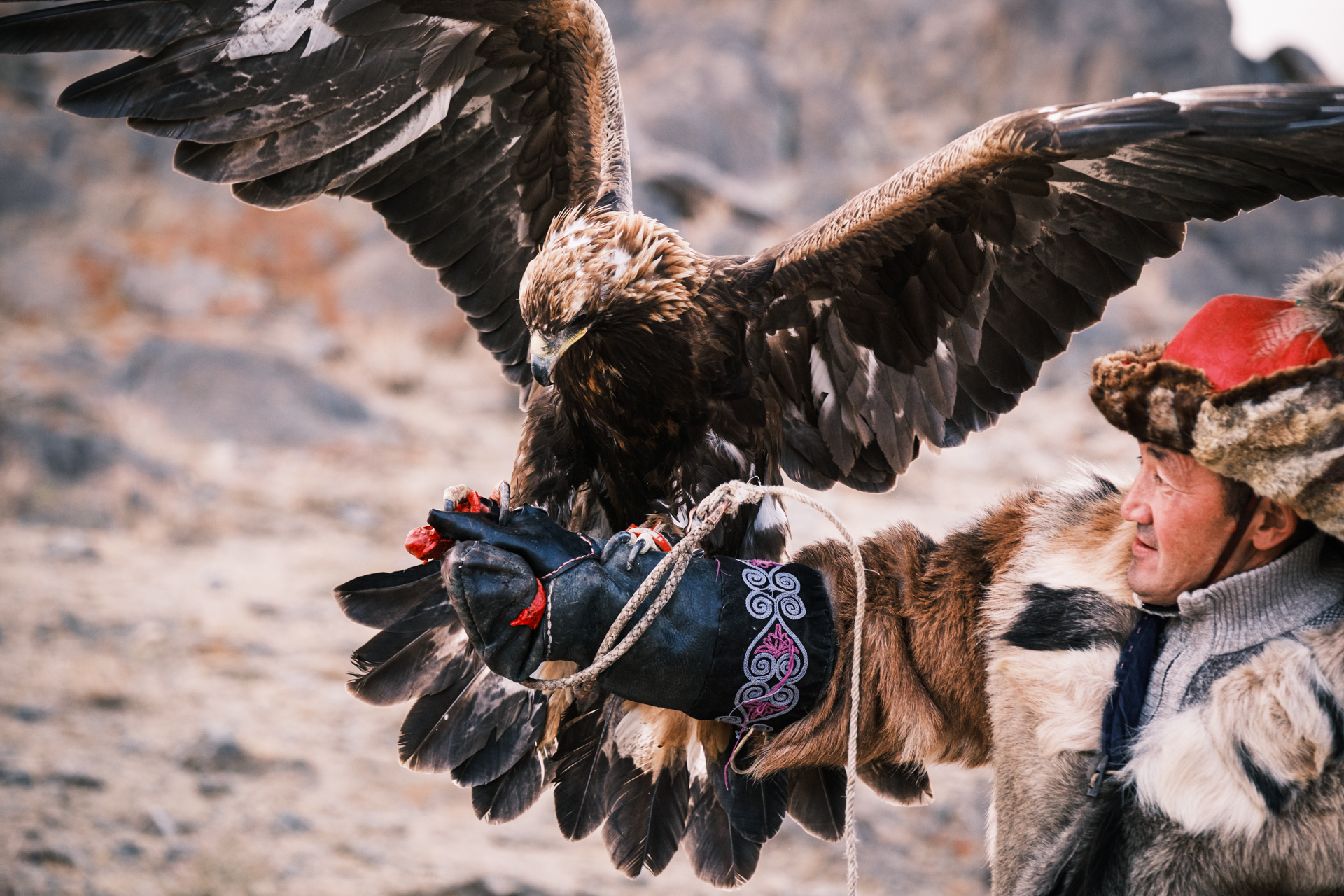 Altai Eagle Hunter Training