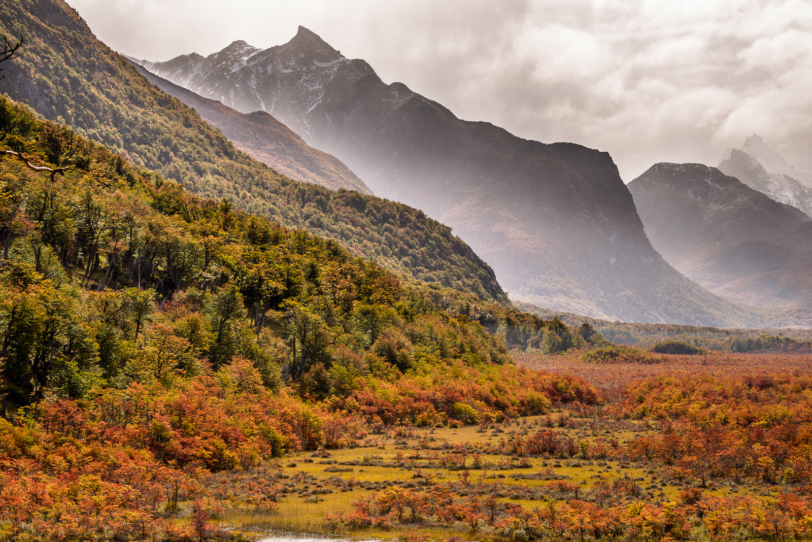 Herbstlich gefärbte Landschaft bei El Chaltén. © Frank Jahnke