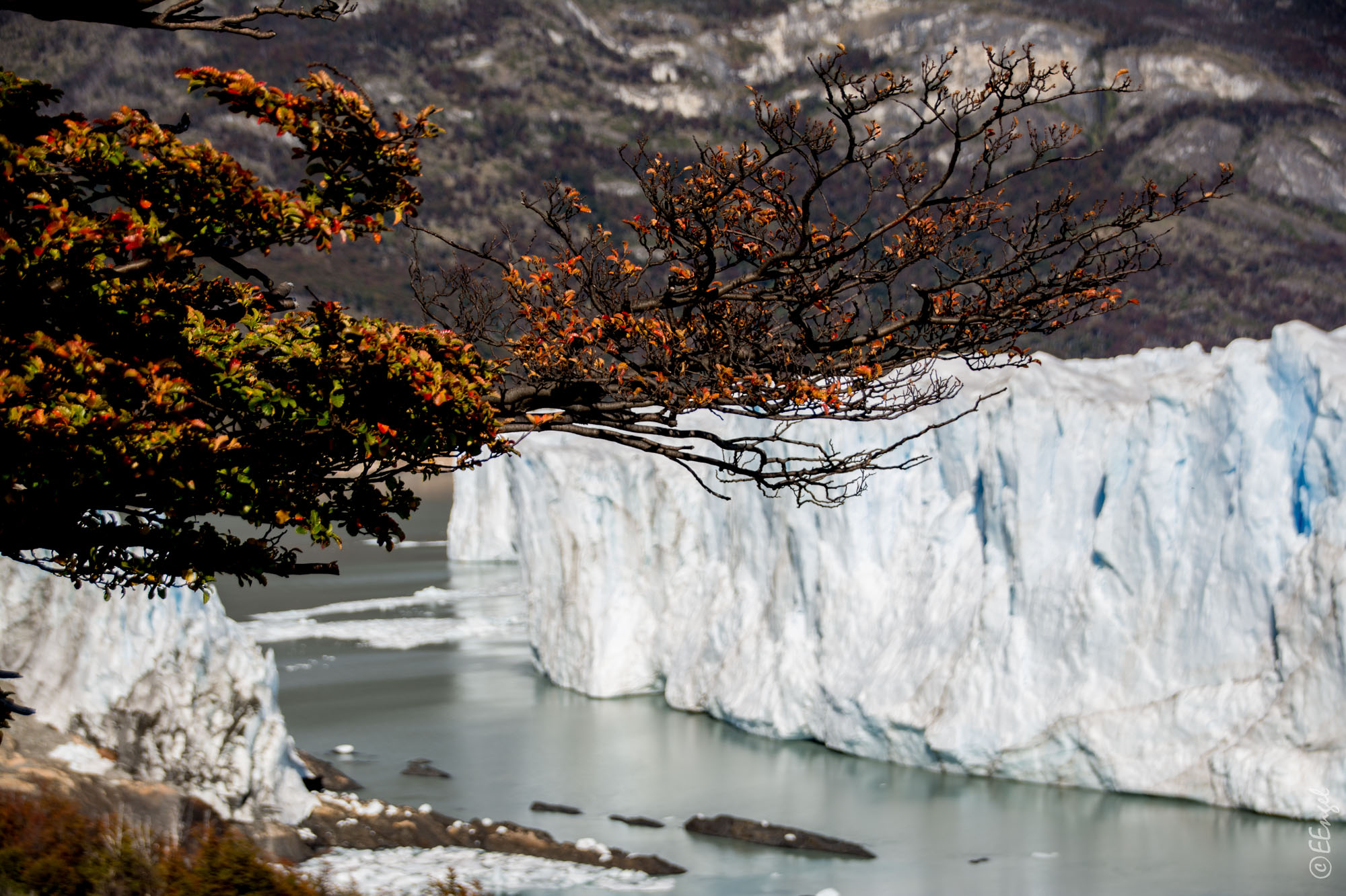 Perito Moreno Herbstfarben