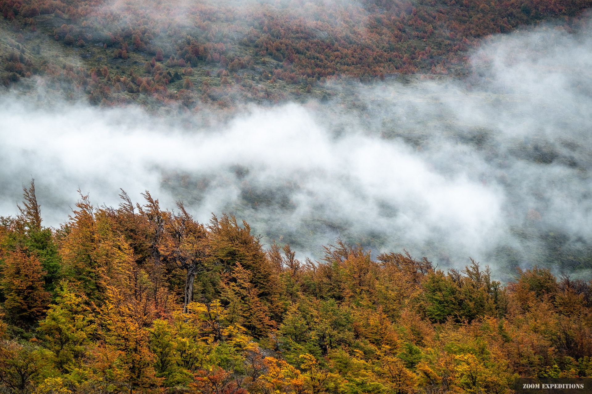 Torres del Paine Herbststimmung Nebel