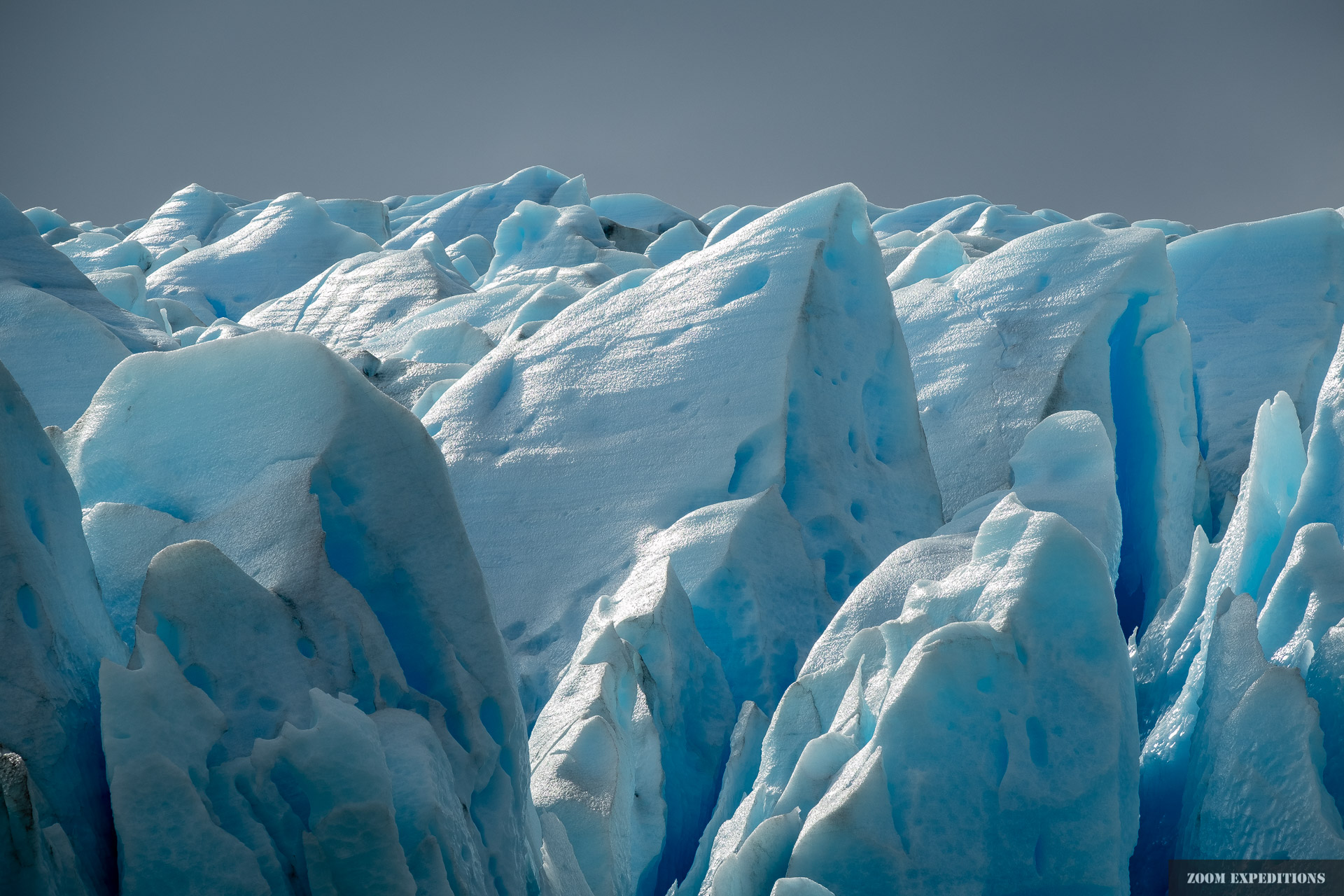 Grey Gletscher Detail 