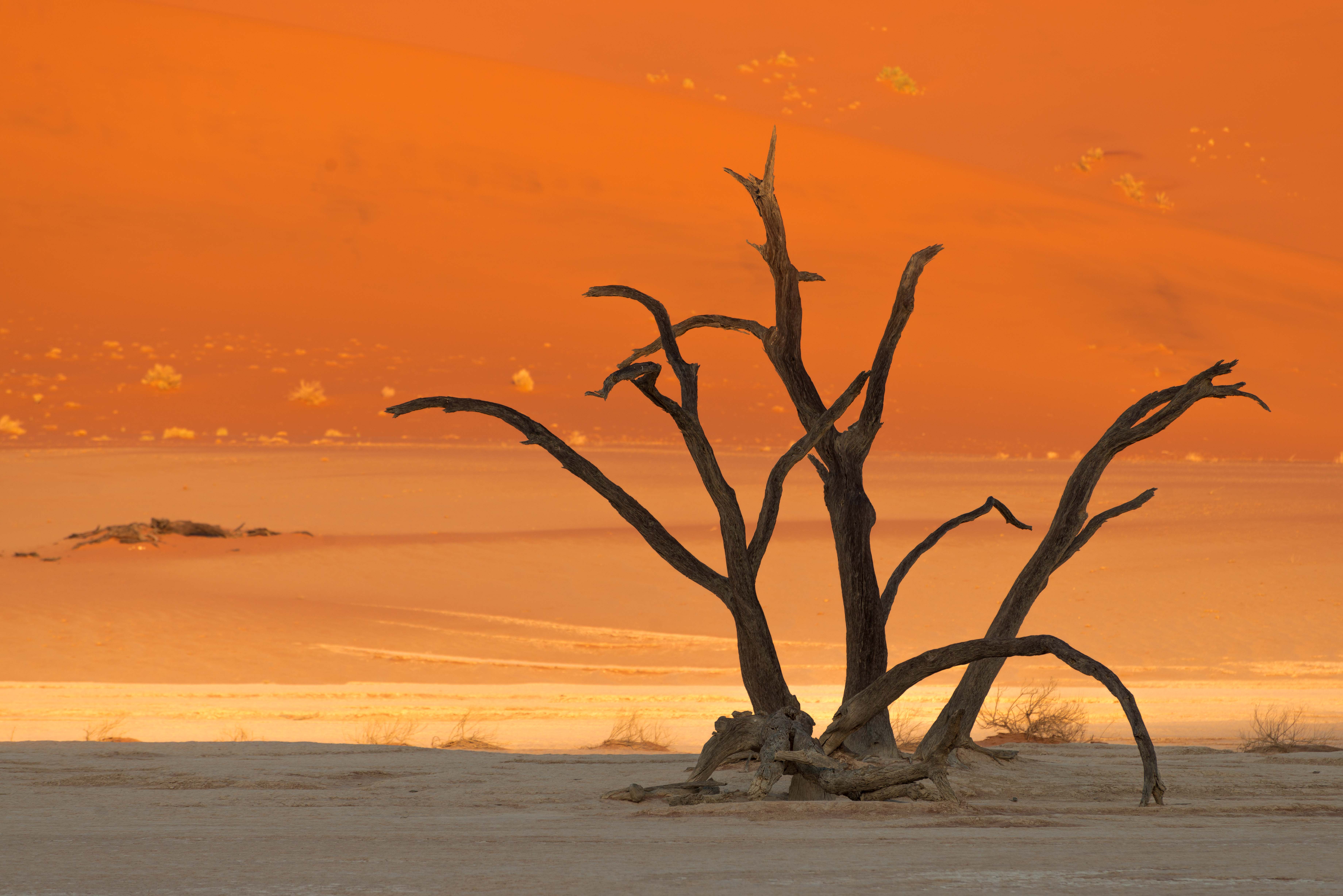 Deadvlei Namibia Dirk Steuerwald