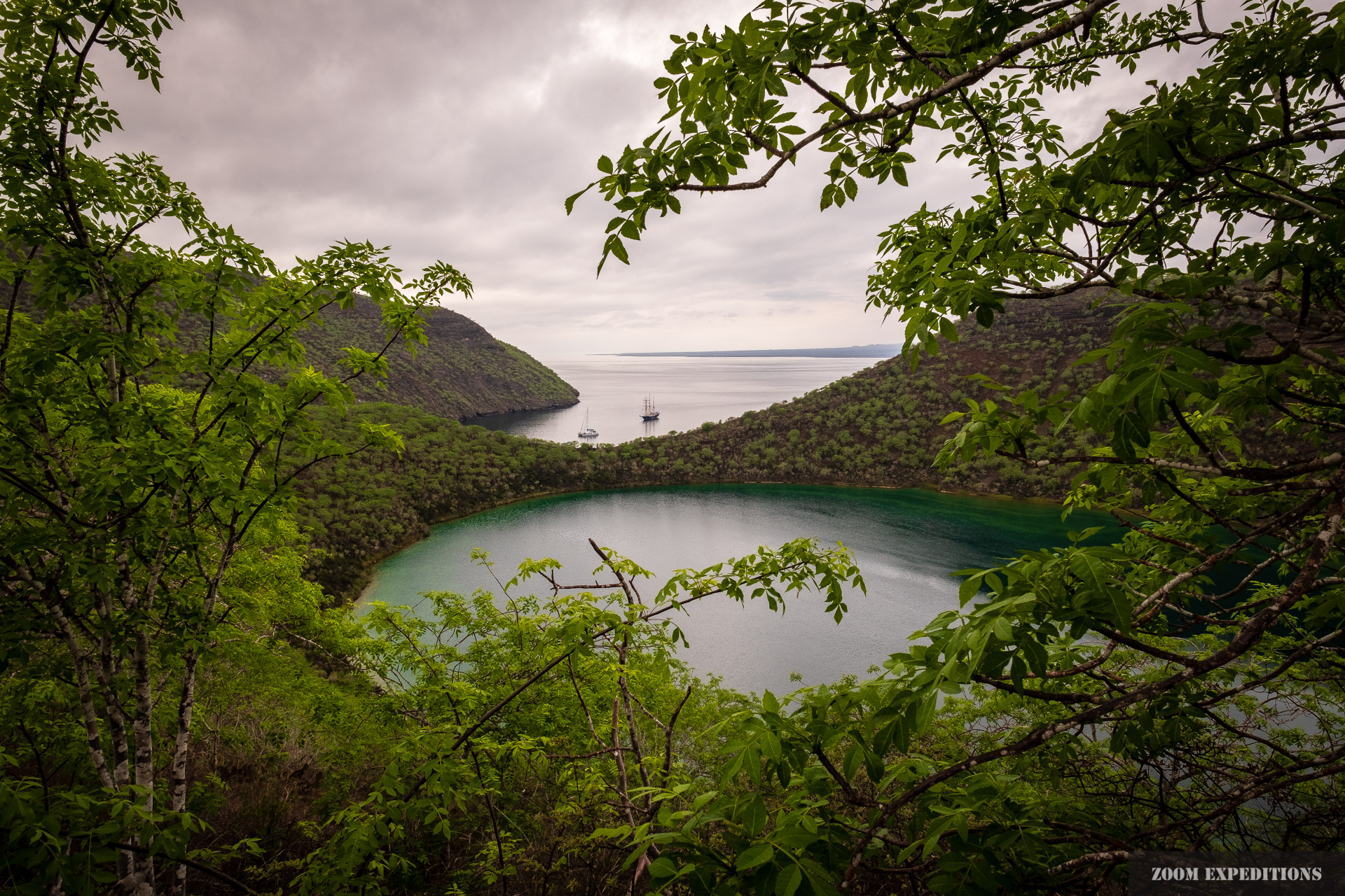 Tagus Cove Isabela Galapagos