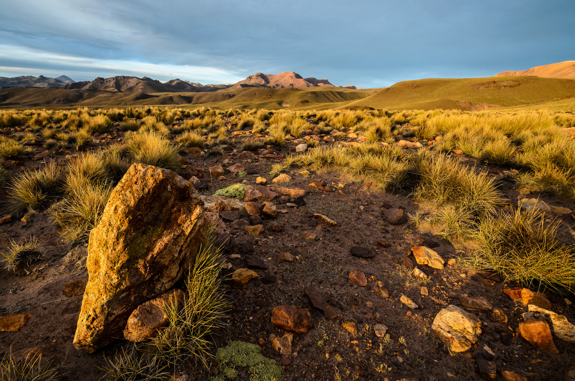 Im Altiplano von Bolivien - Foto von Martin Leonhardt