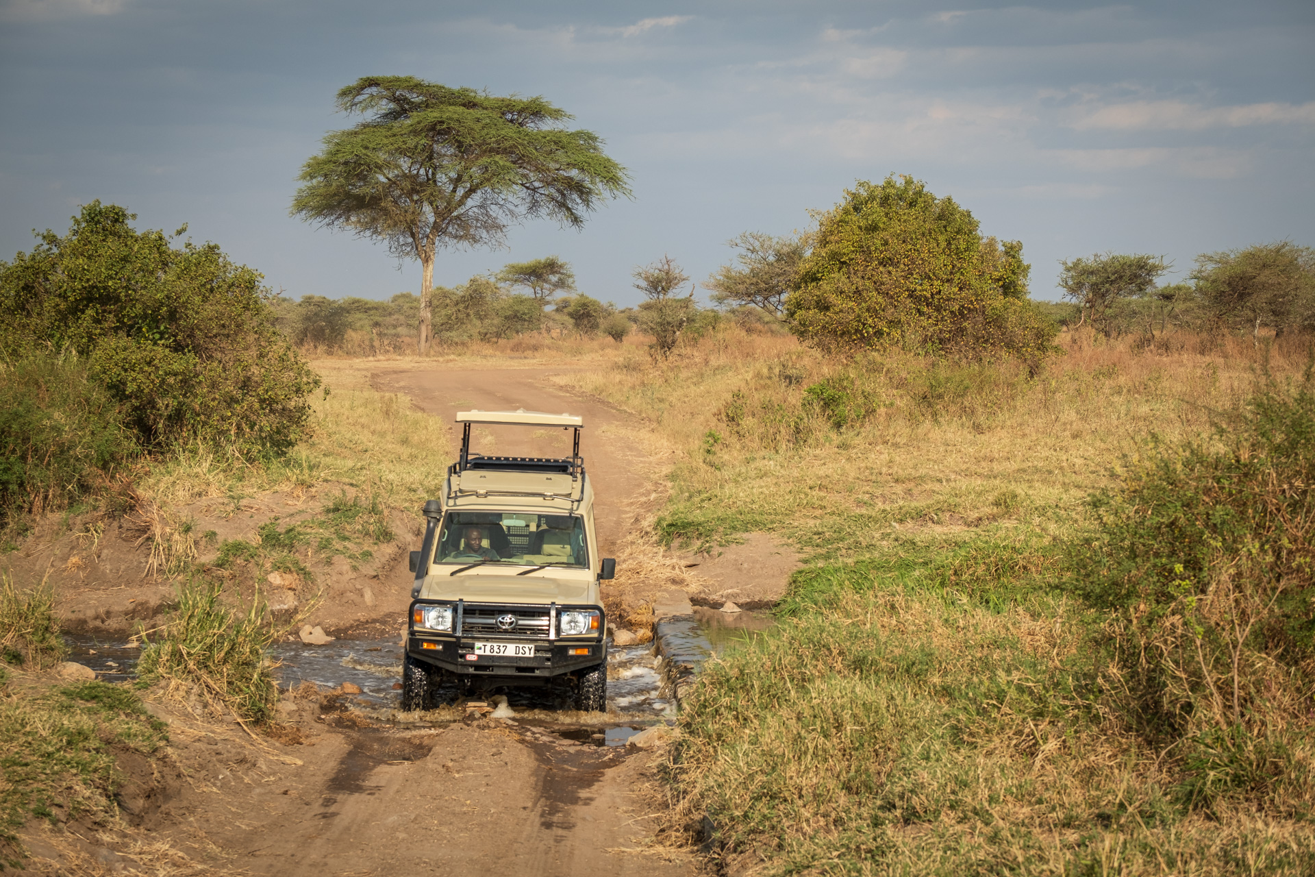 Land Cruiser in der Serengeti Tansanias.