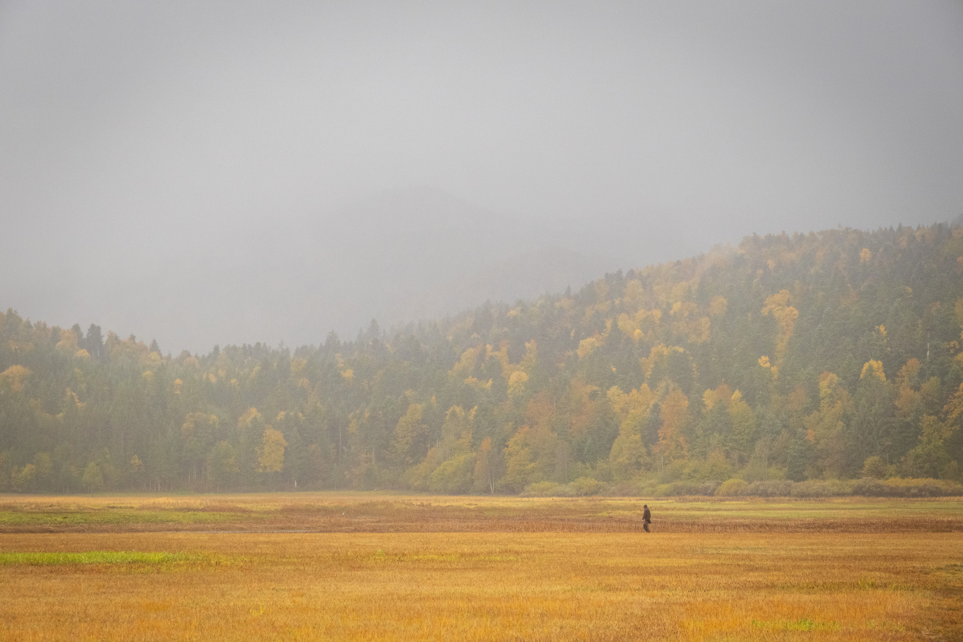 Im Regen am Cerkniza See