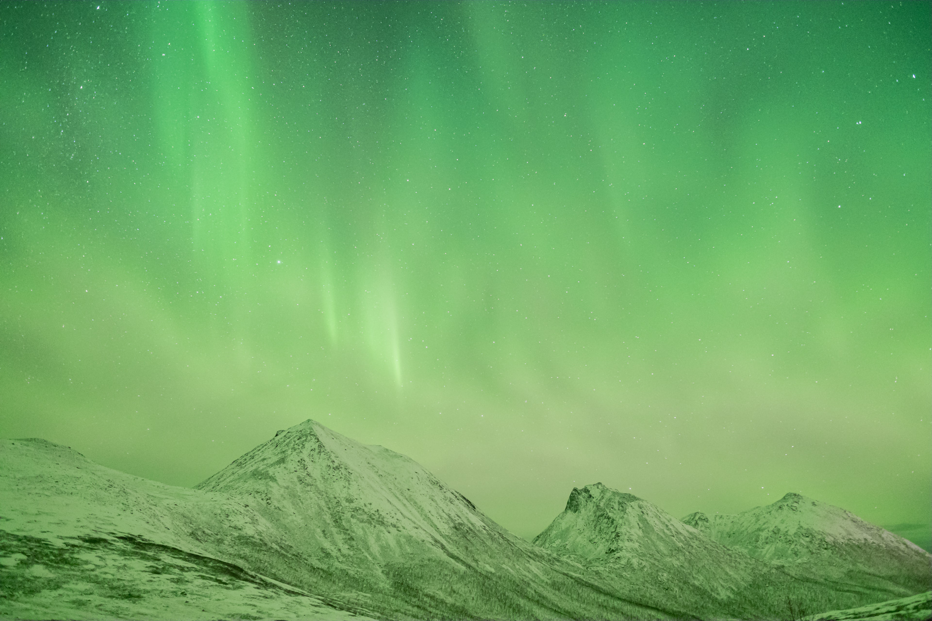 Polarlichter über den Bergen Kvaløyas. 