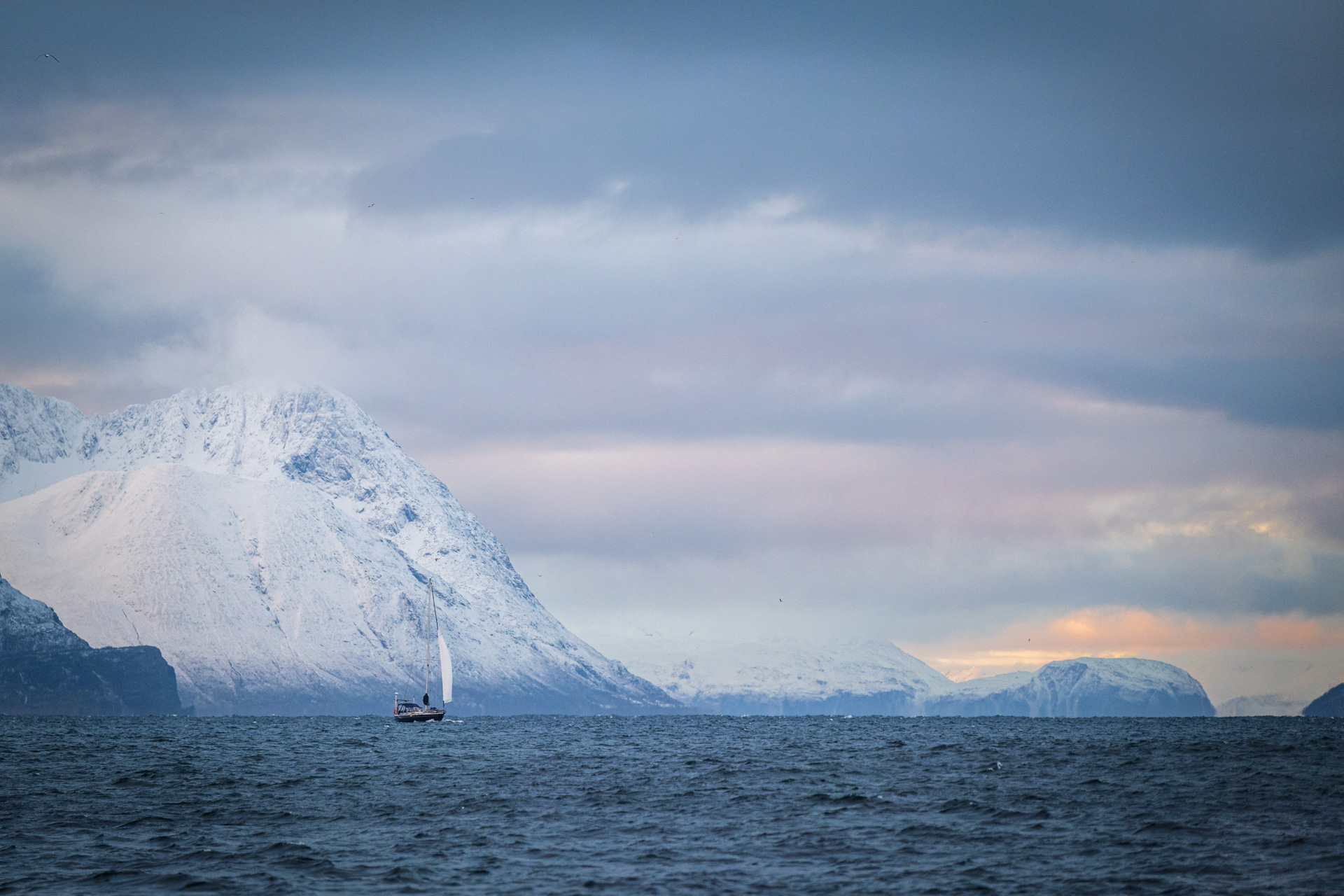 Segelyacht in den Fjorden Nordnorwegens.