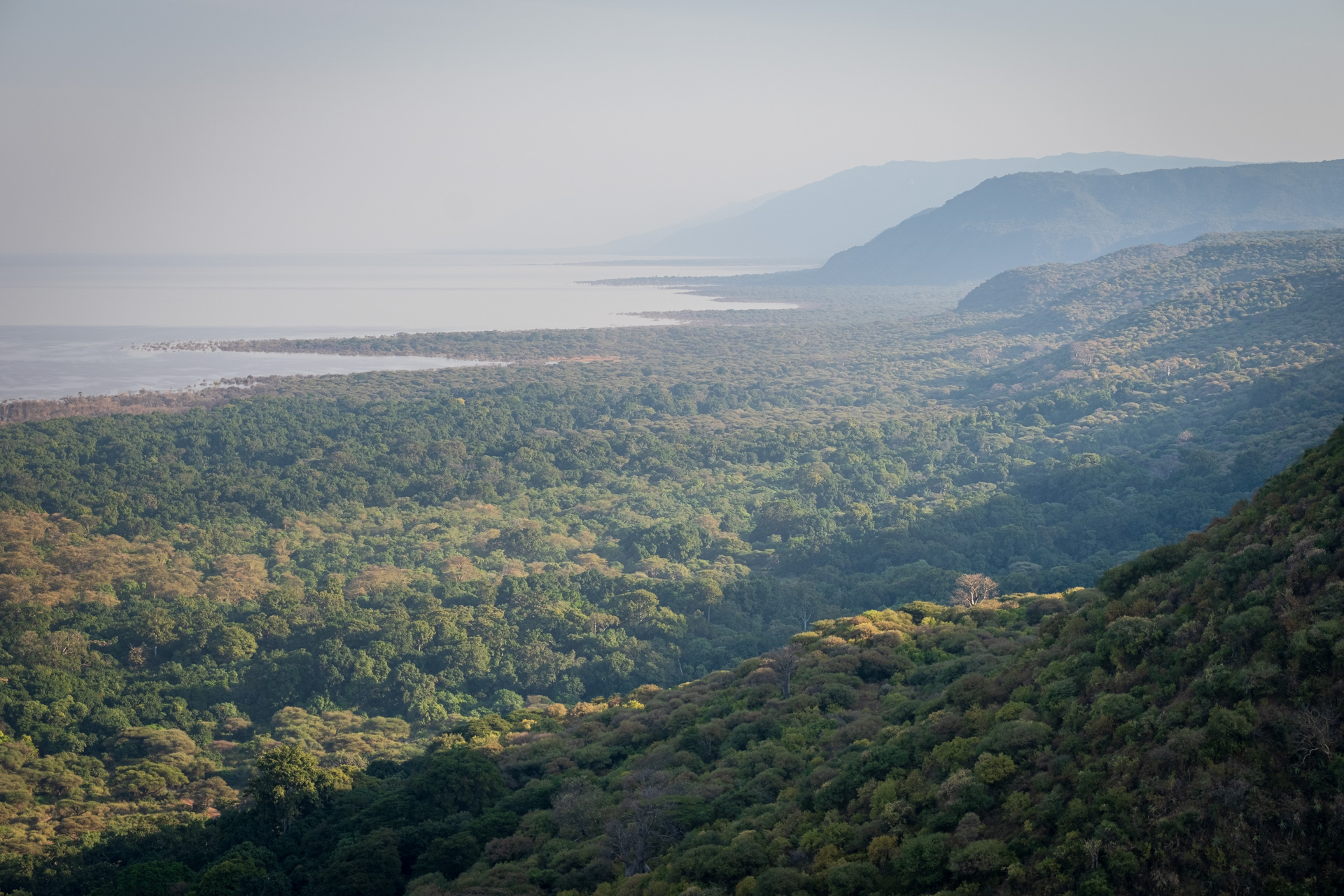 Lake Manyara Landschaft