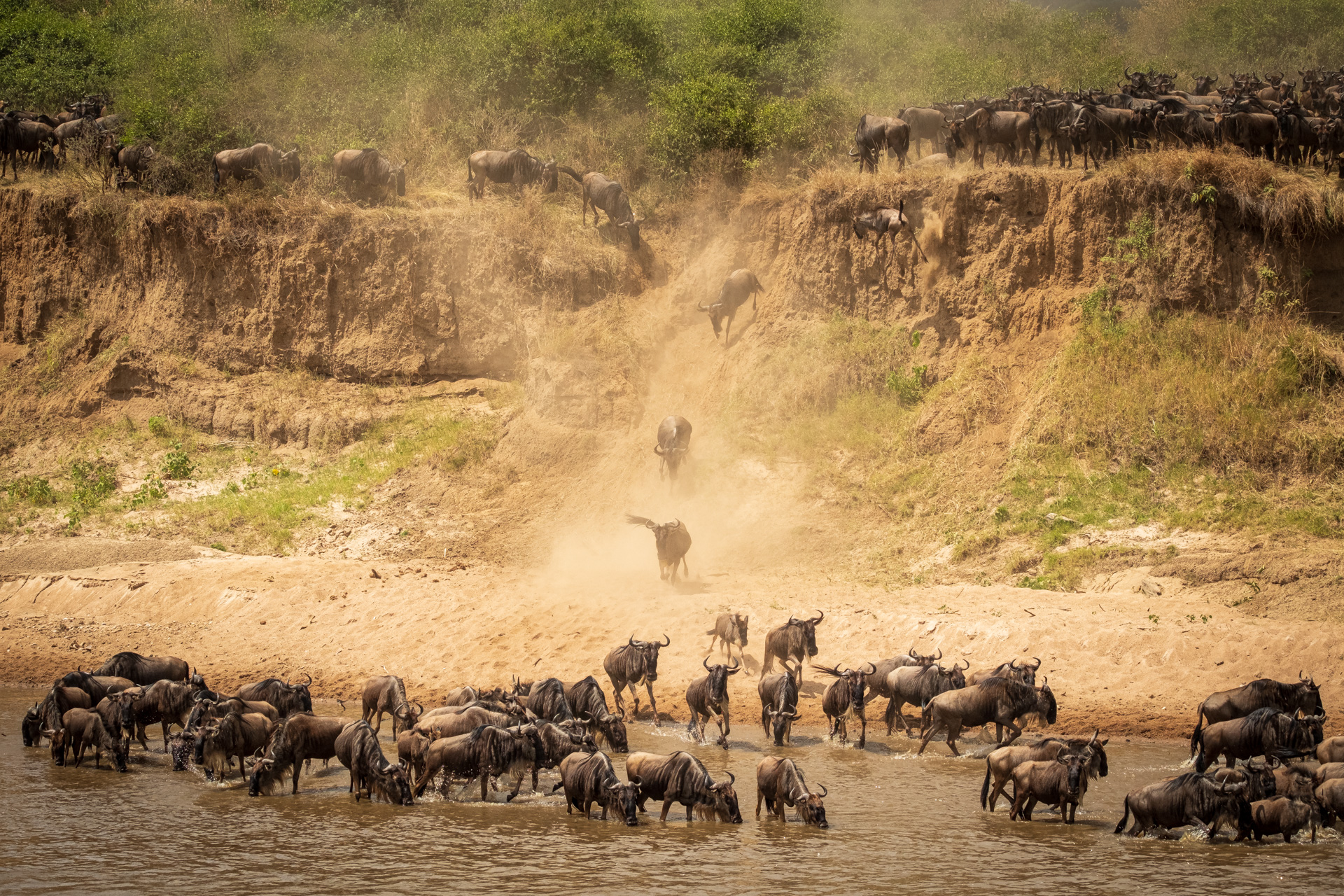 Gnu River Crossing.