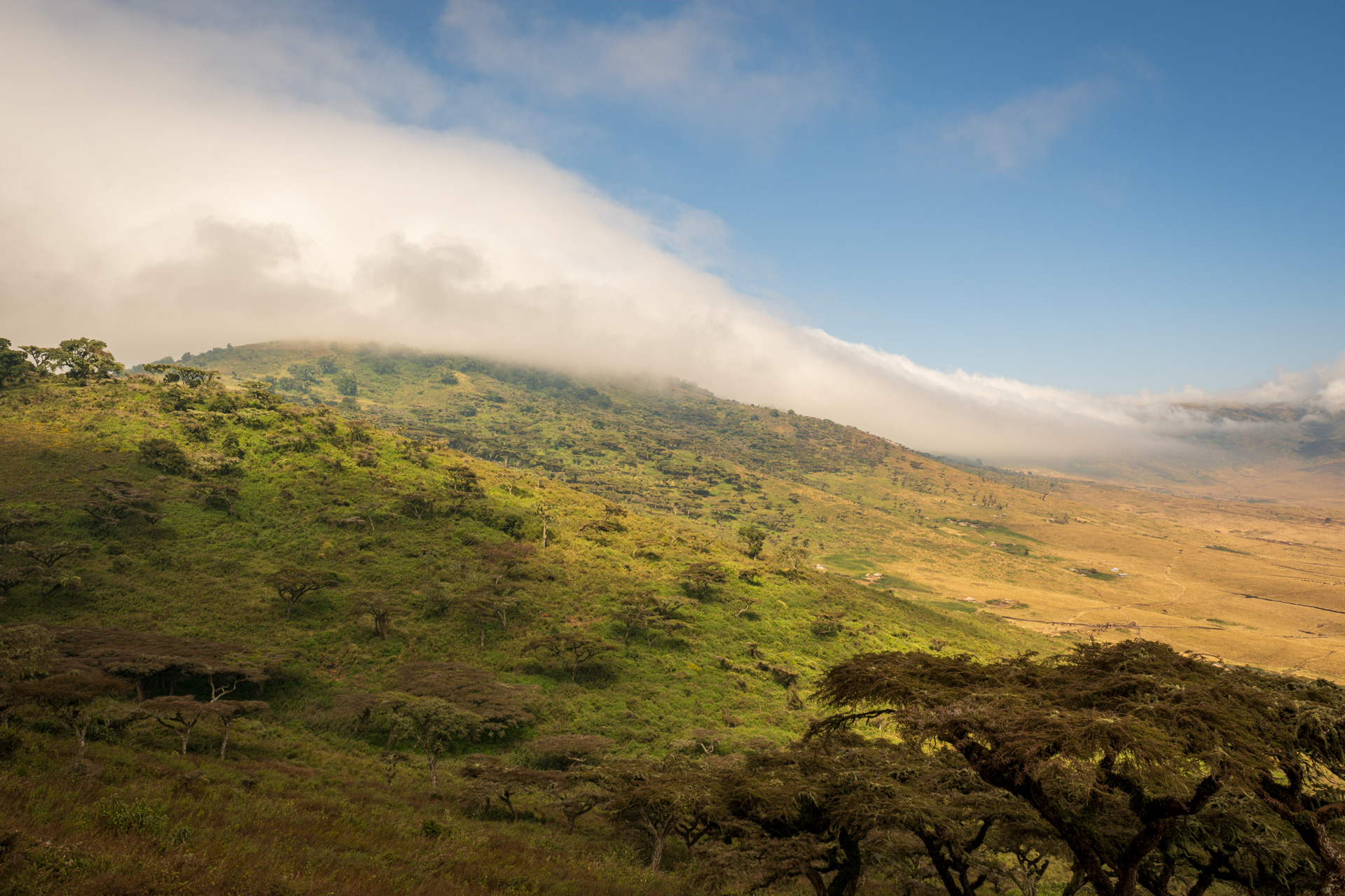 Tansania Landschaft Savanne