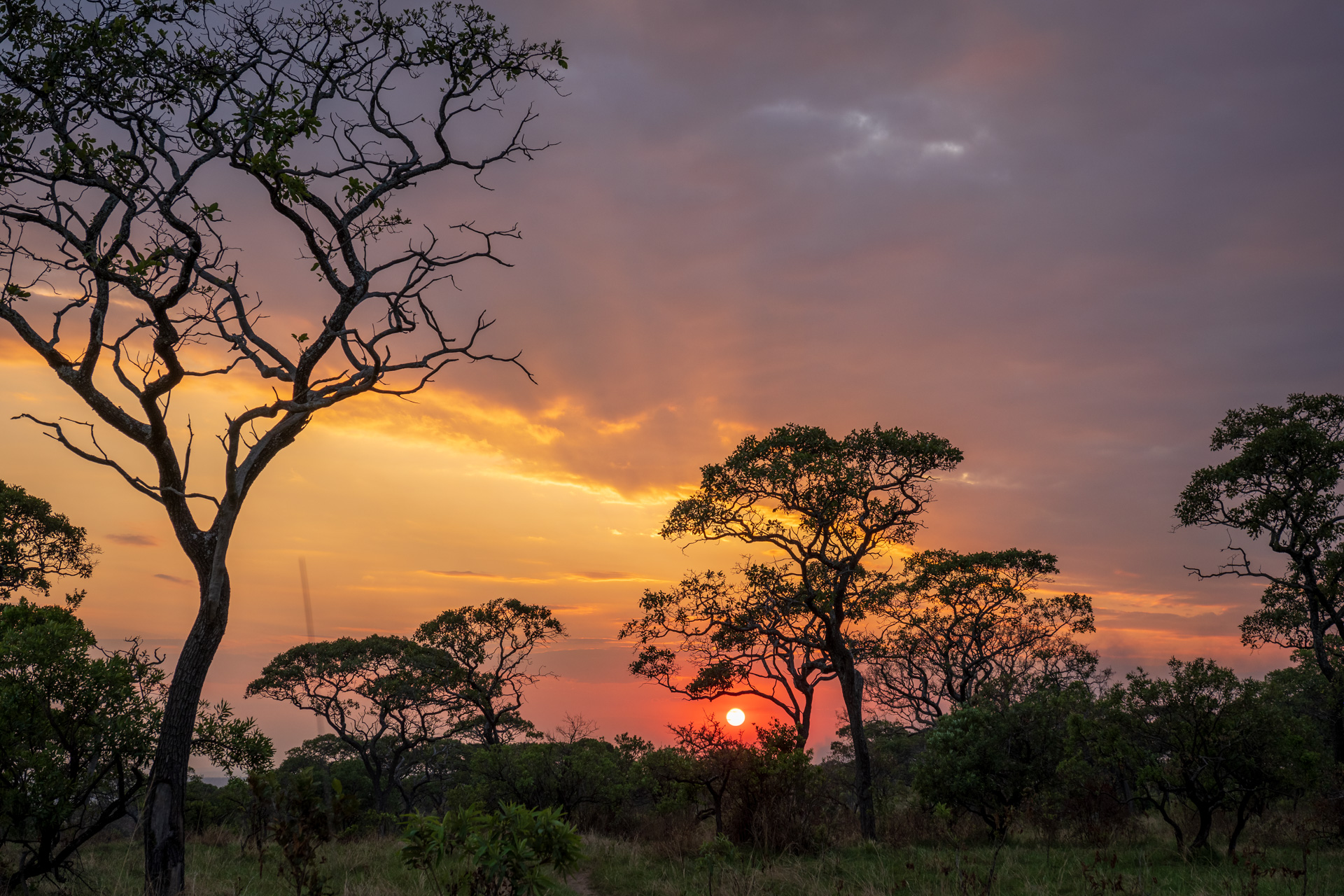 Sonnenuntergang im Serengeti Camp.