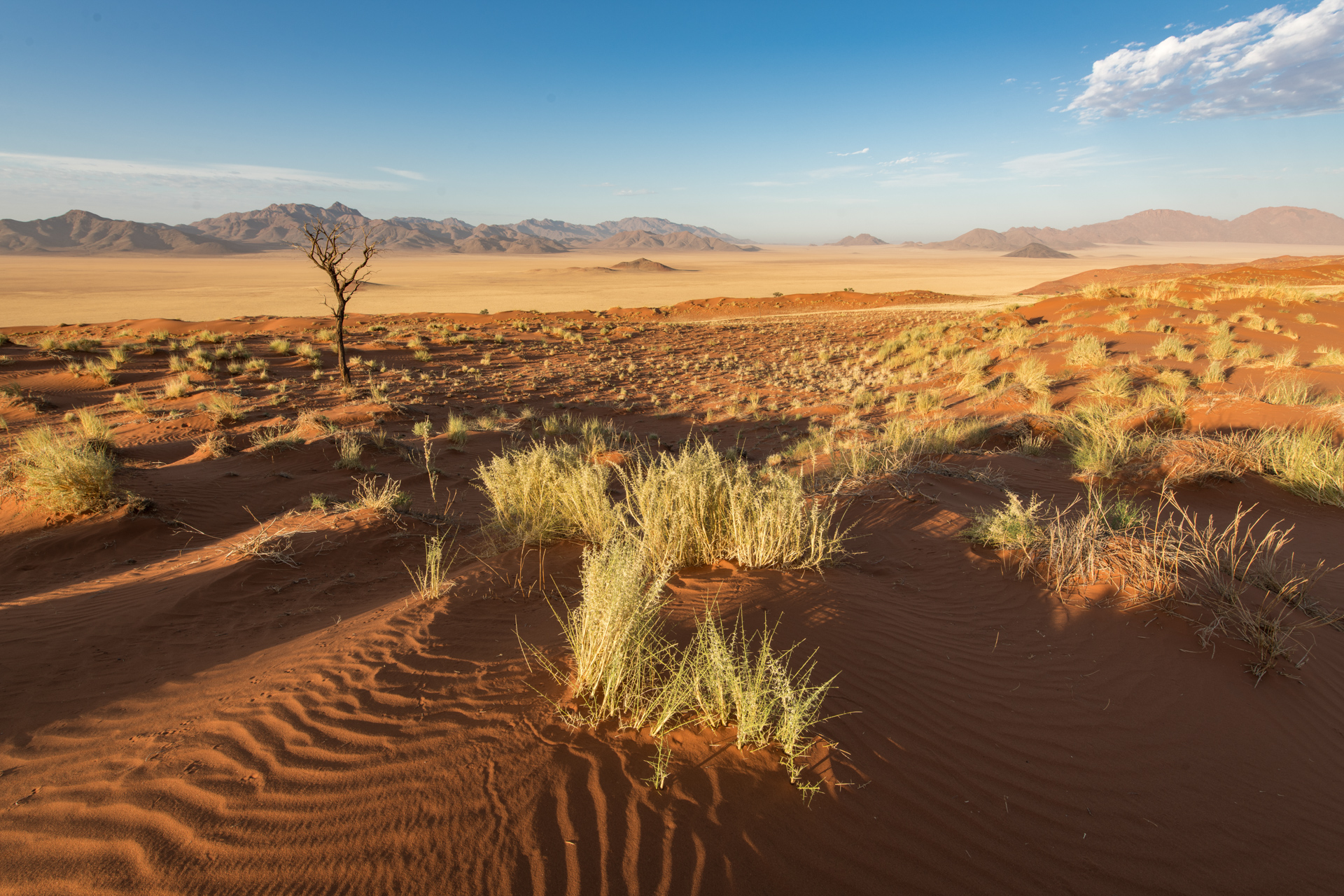 Namibische Wüstenlandschaft
