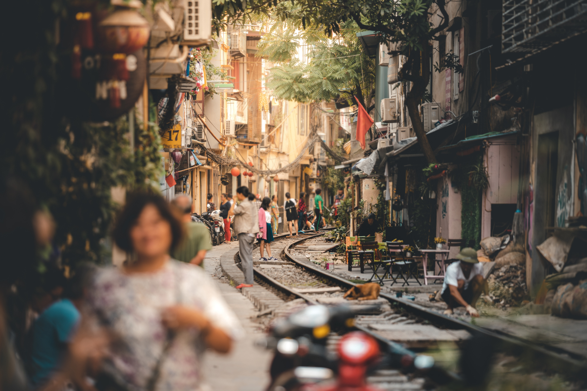 Hanois berühmte Strassenschienen