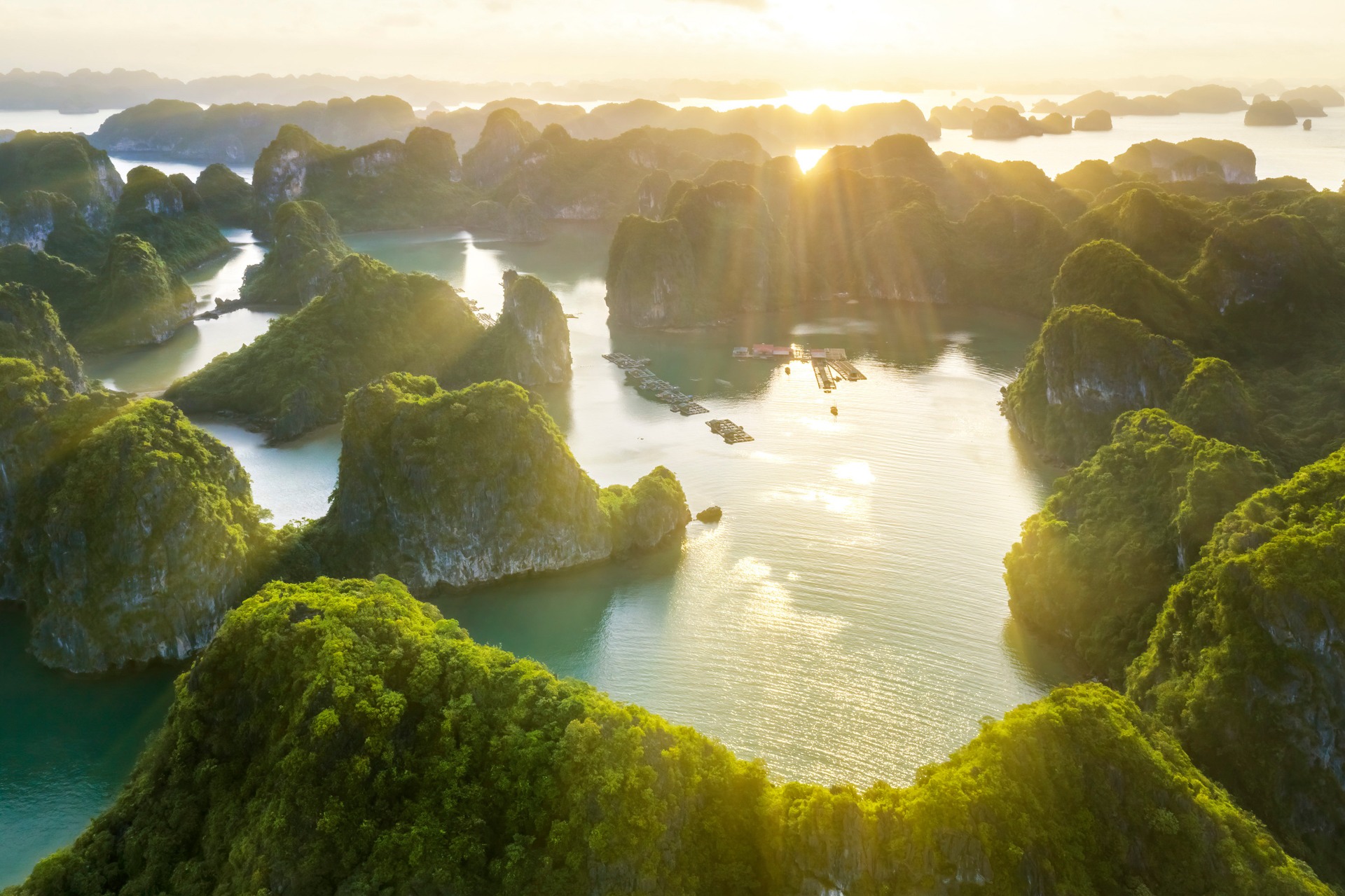 Floating Market Vietnam