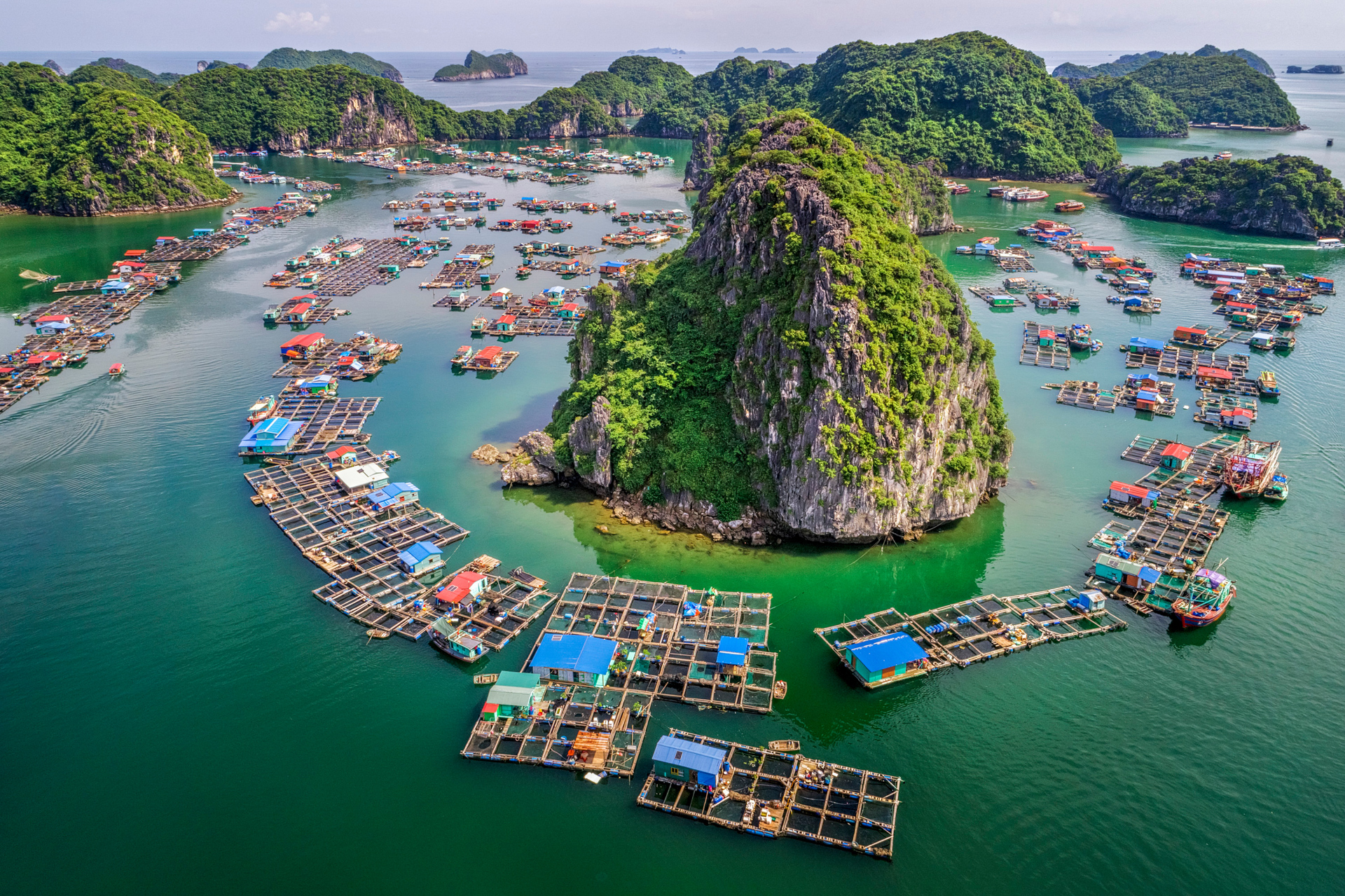 Schwimmende Märkte in Vietnam