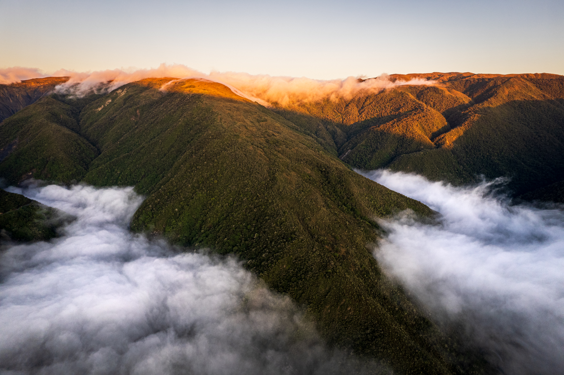 Die Nebelwälder des Manu Nationalparks im Morgenlicht.
