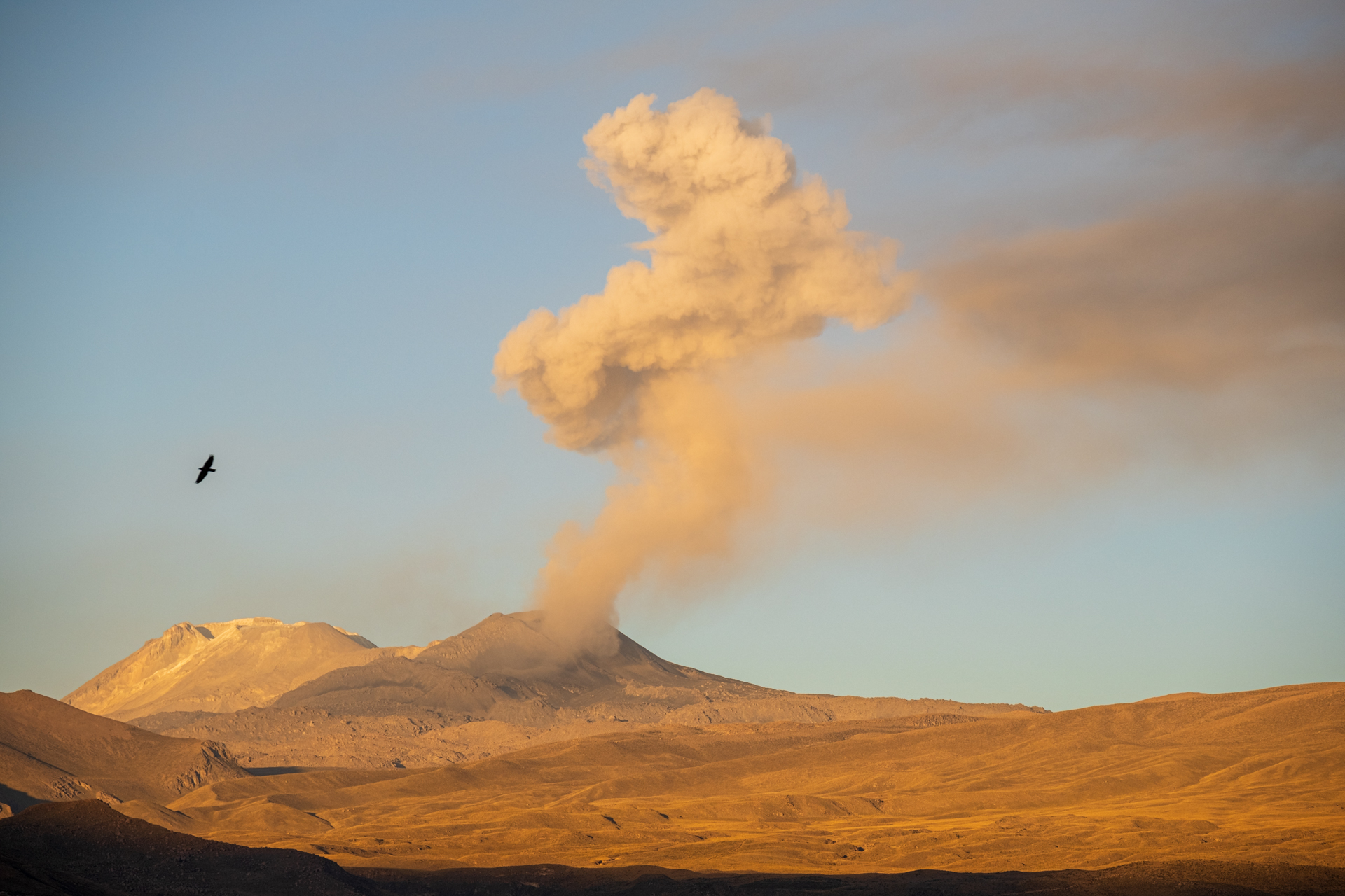 Sabancaya Eruption im Morgenlicht.