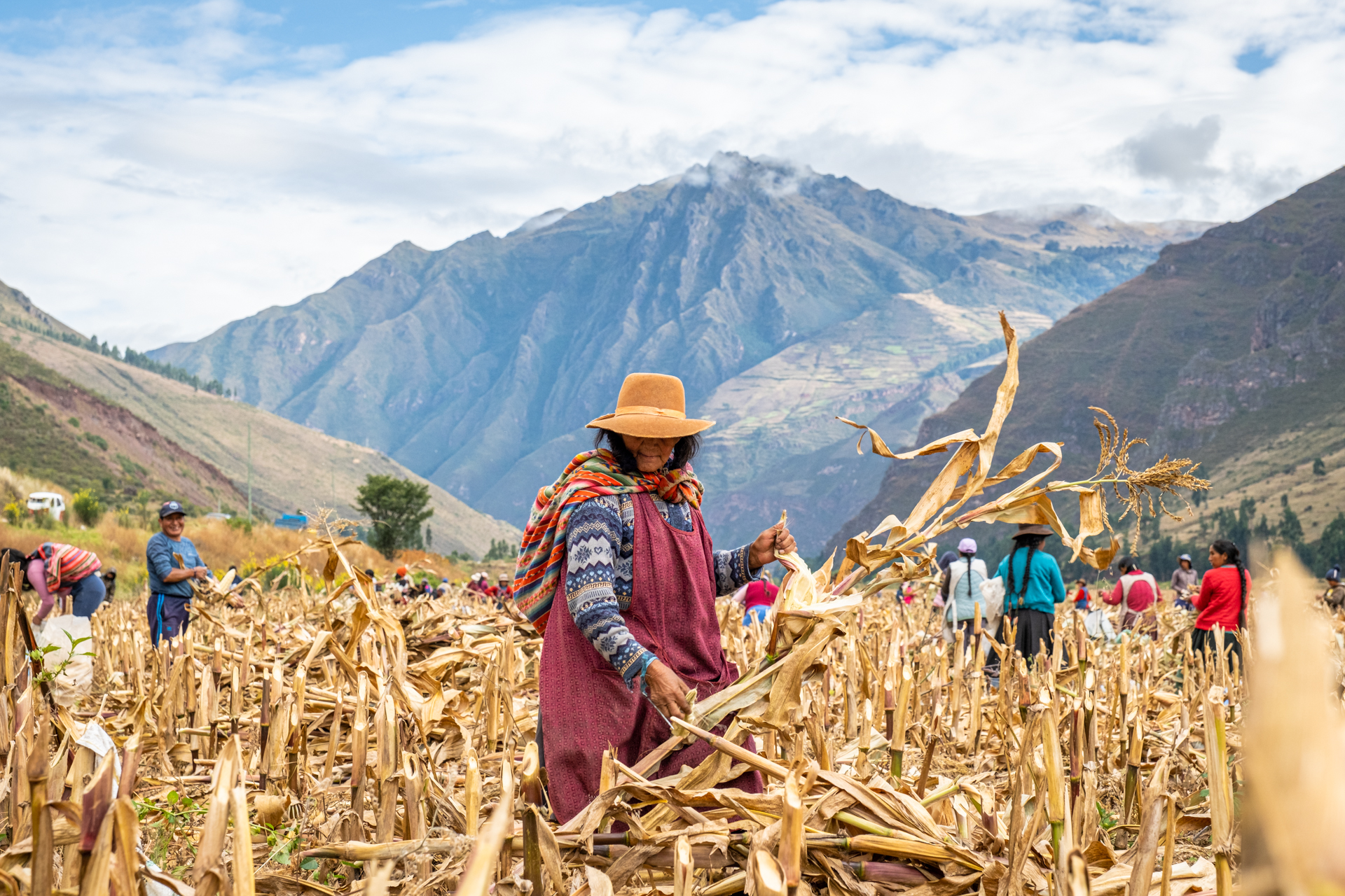 Dorfbewohner in Peru bei der gemeinsamen Ernte.