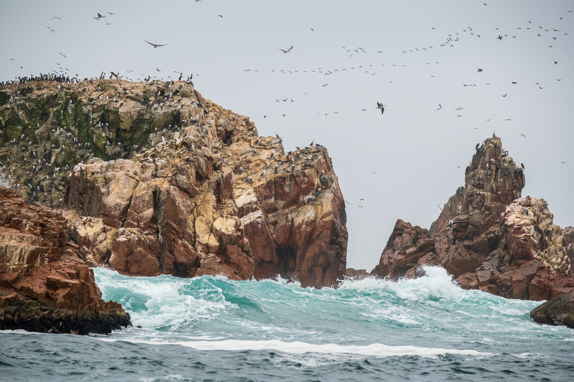 Felseninseln im Nationalpark Islas Ballestas mit Tausenden Seevögeln.
