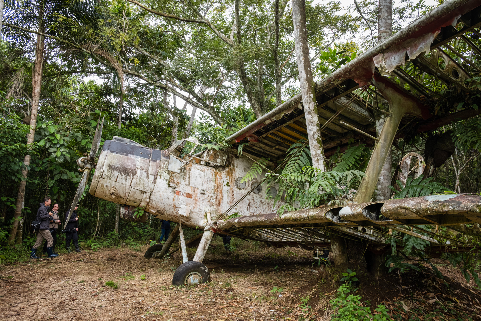 Überwucherte Antonow im Manu Nationalpark.