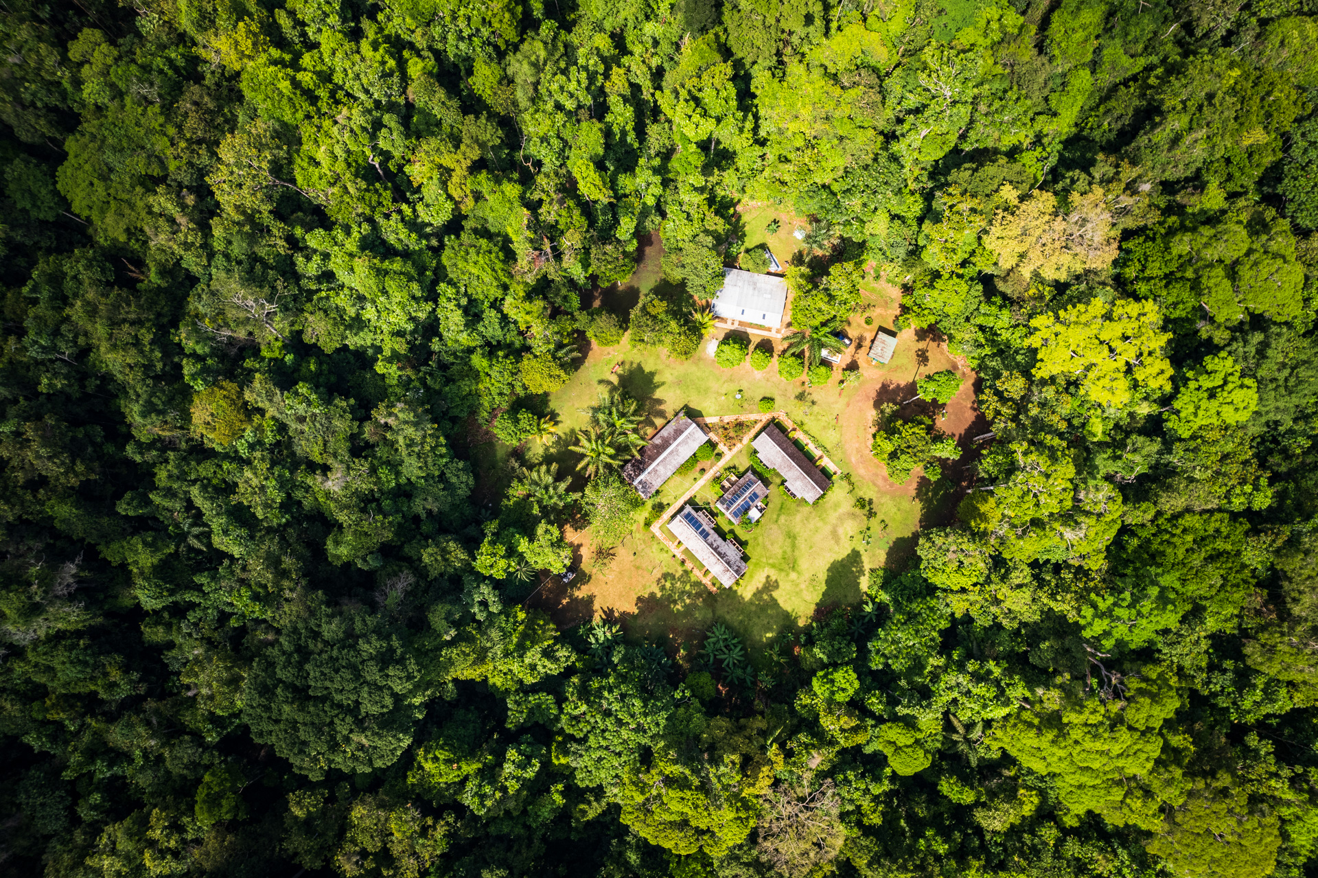 Birds eye view of Atta Rainforest Lodge