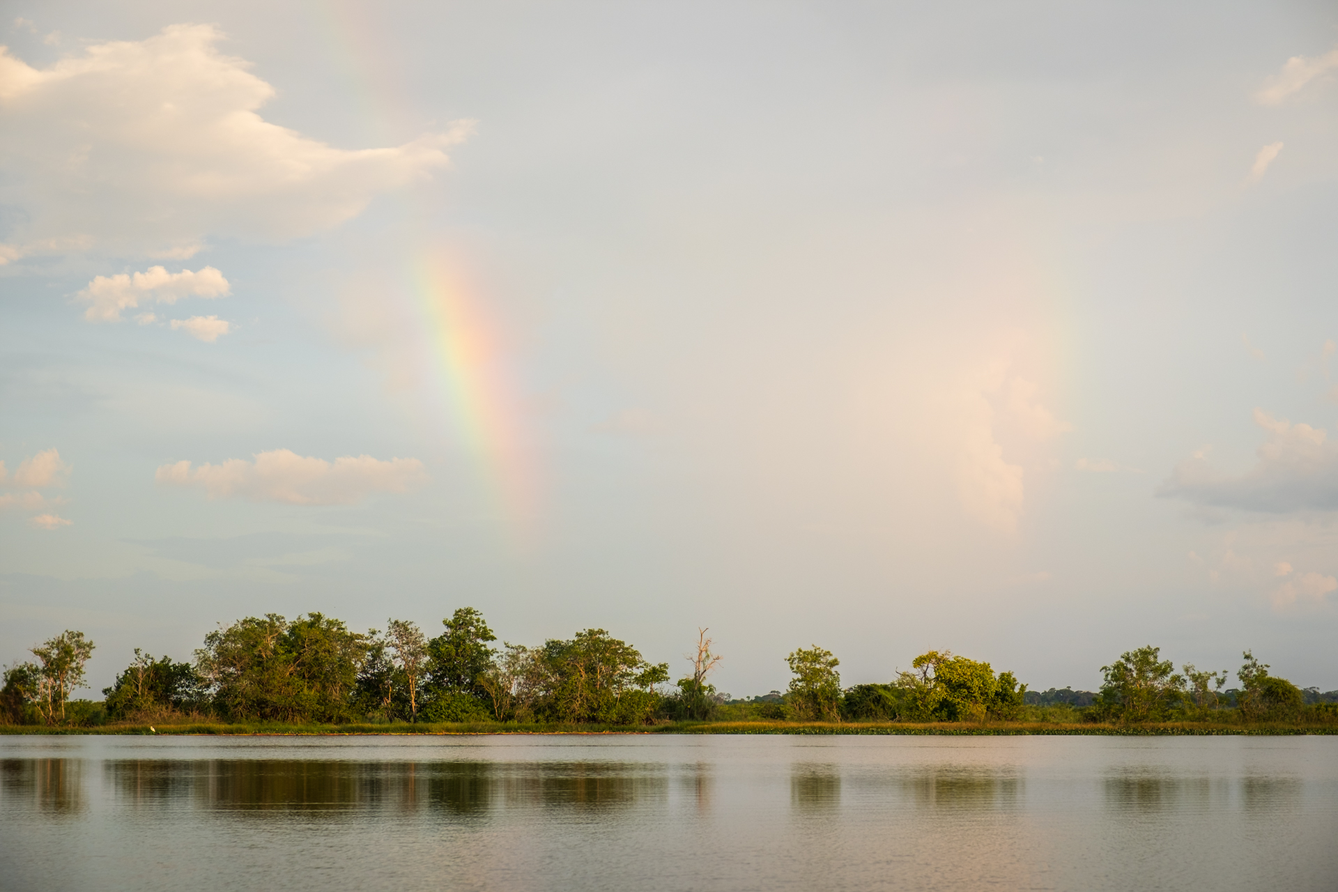 Rainbow over the river in Guyana.