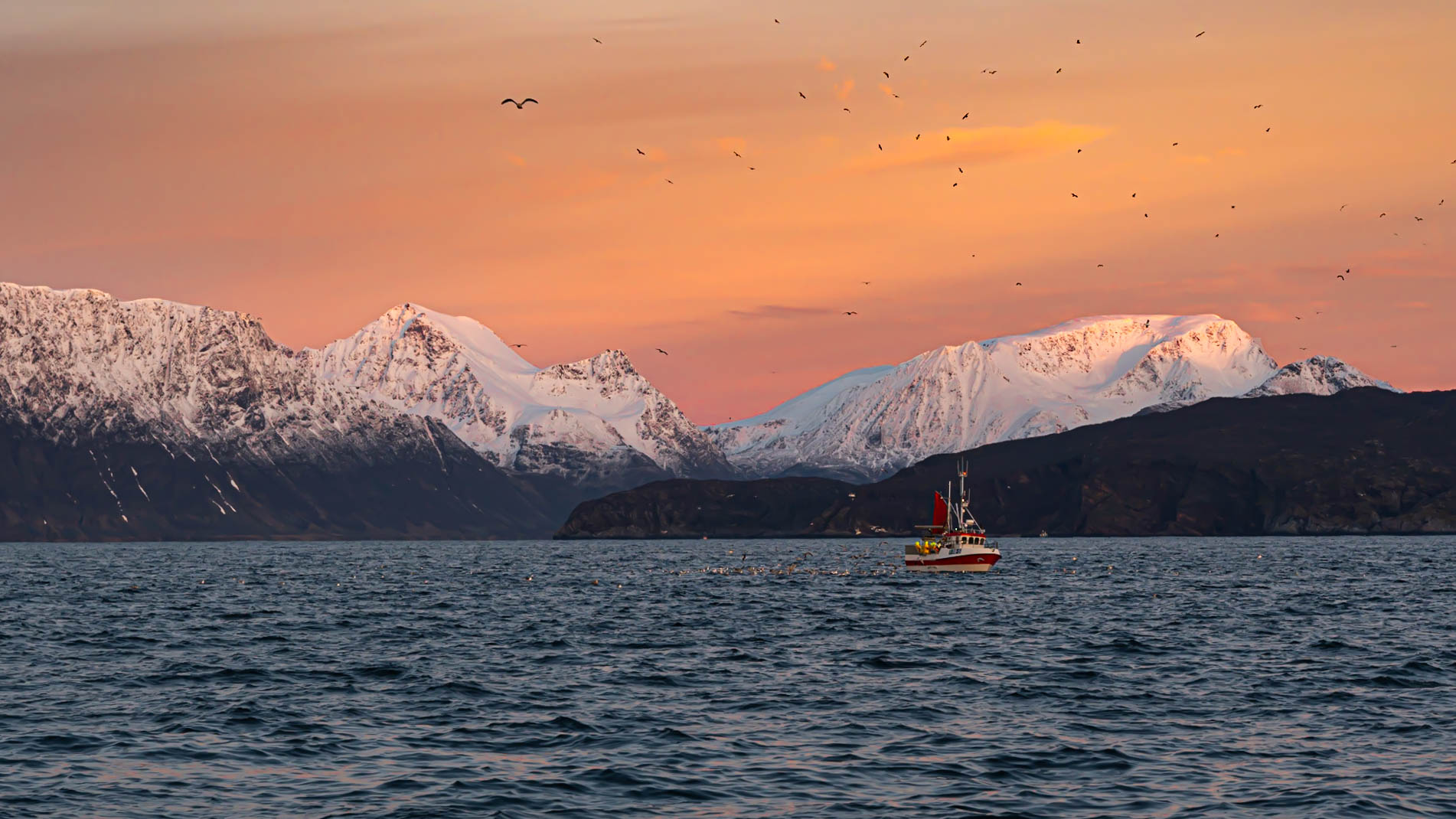 Fischerboot bei Skjervøy