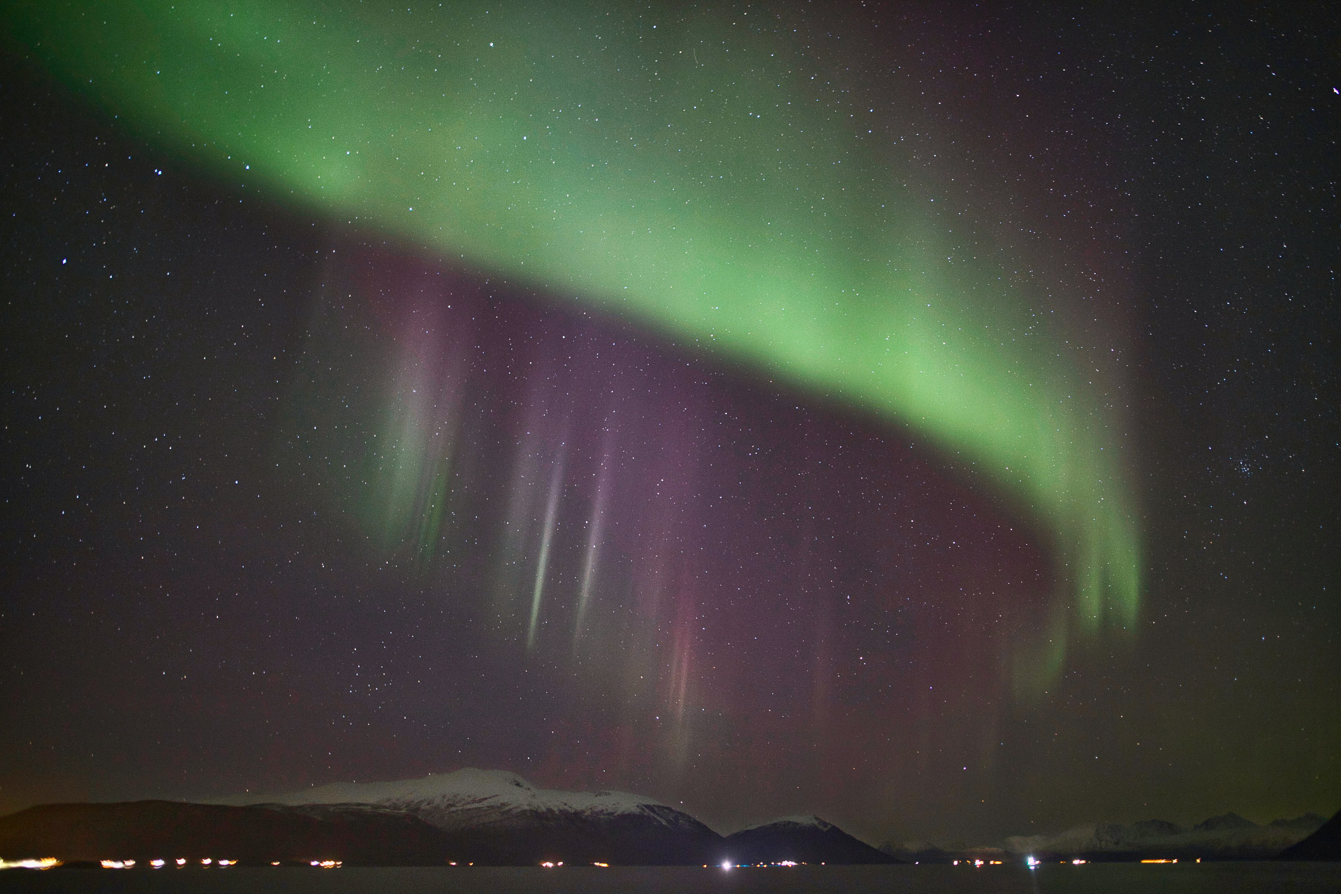 Polarlichter bei Skjervøy