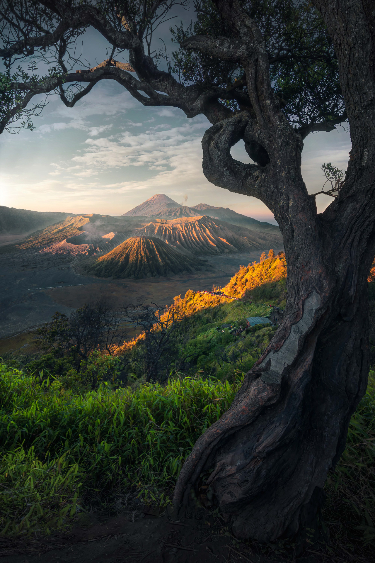 Mount Bromo - © Fikri Muharom