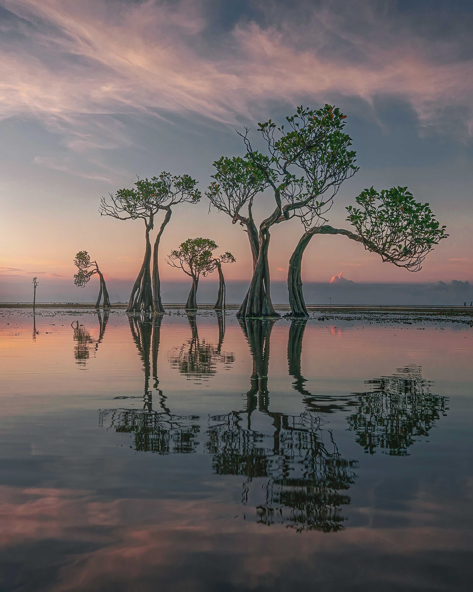 Walakiri - © Fikri Muharom