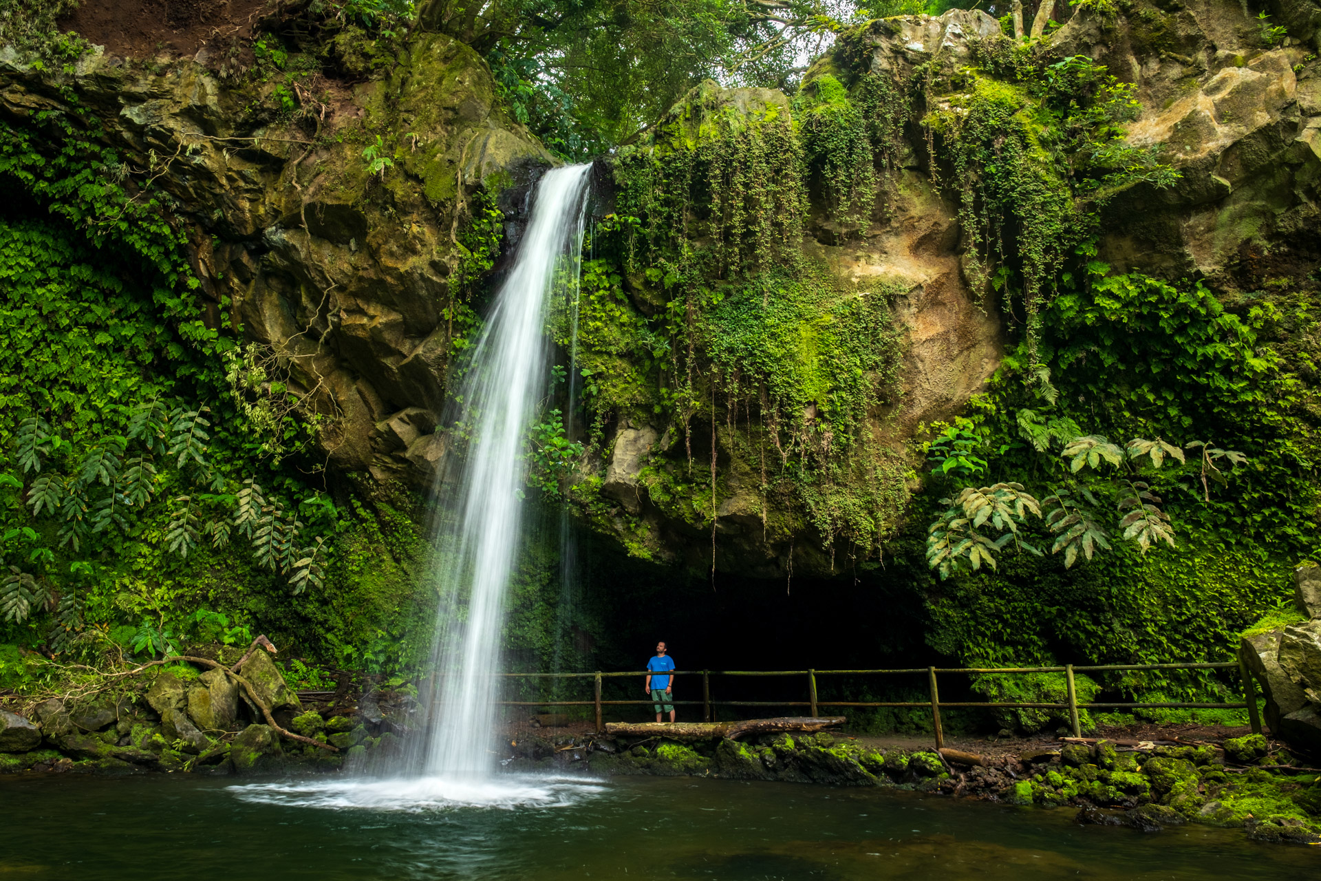 Ein Wasserfall auf São Miguel.