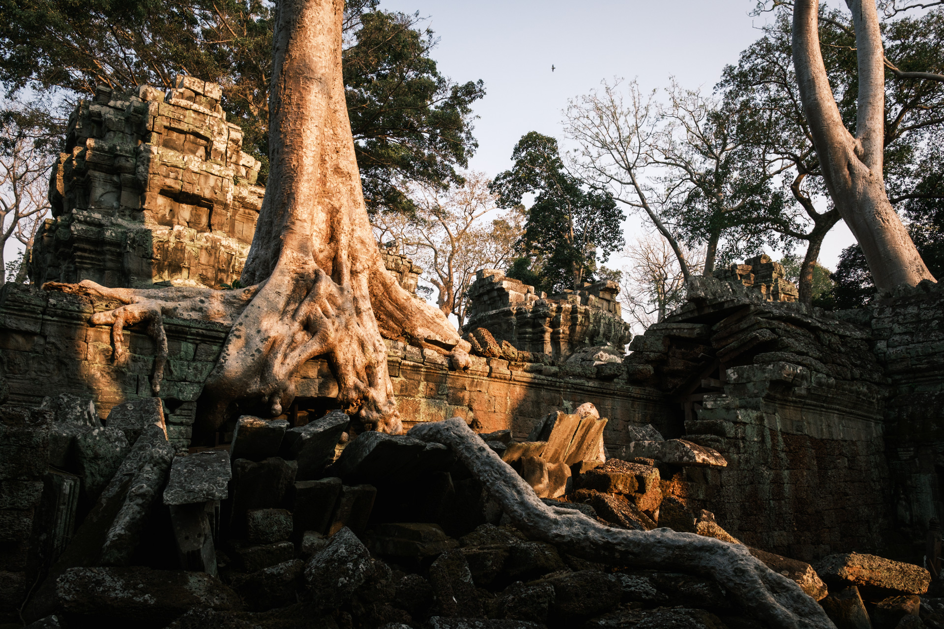 Ruinen von Angkor Wat.