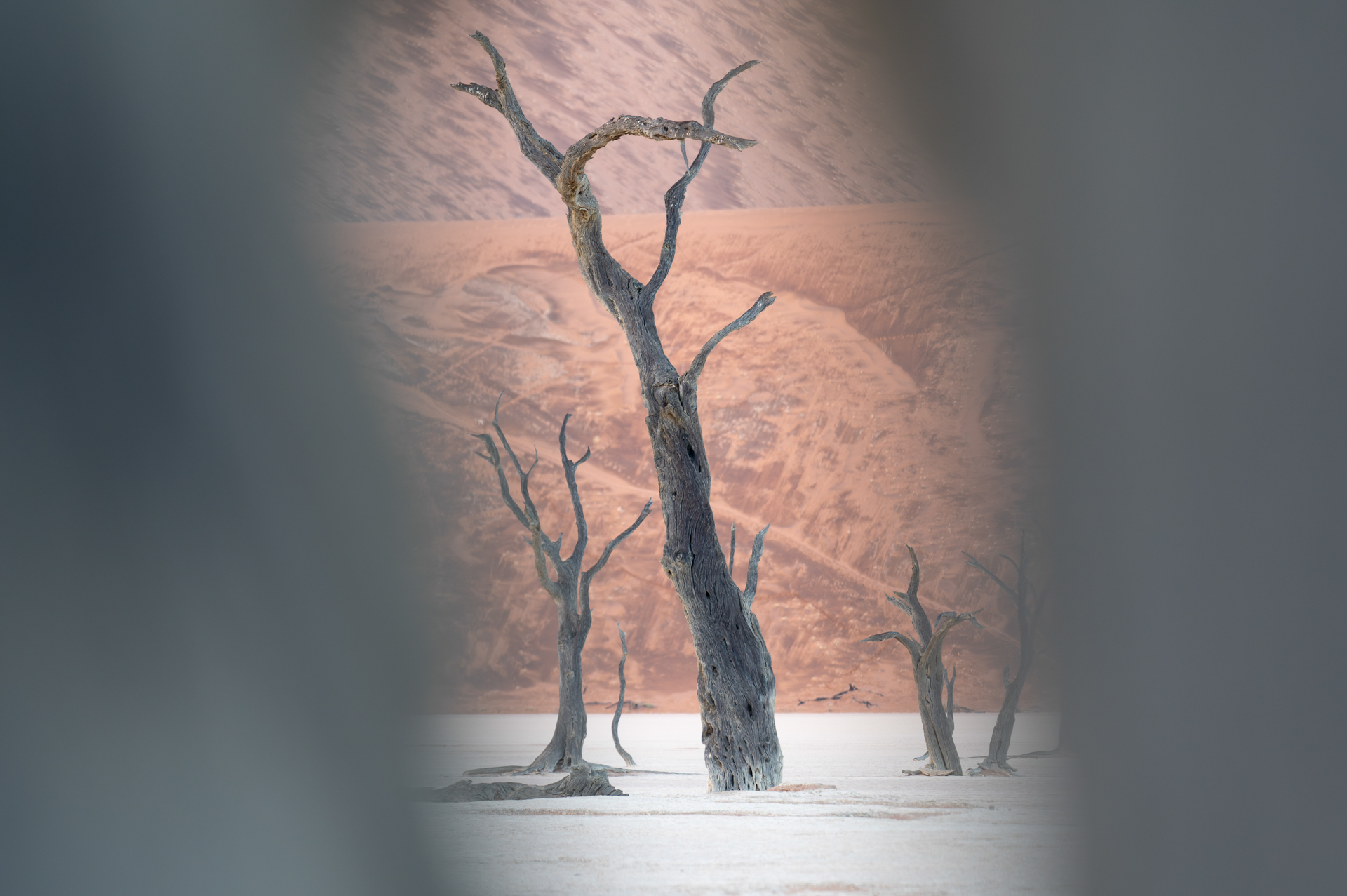 Deadvlei - Foto von Dirk Steuerwald