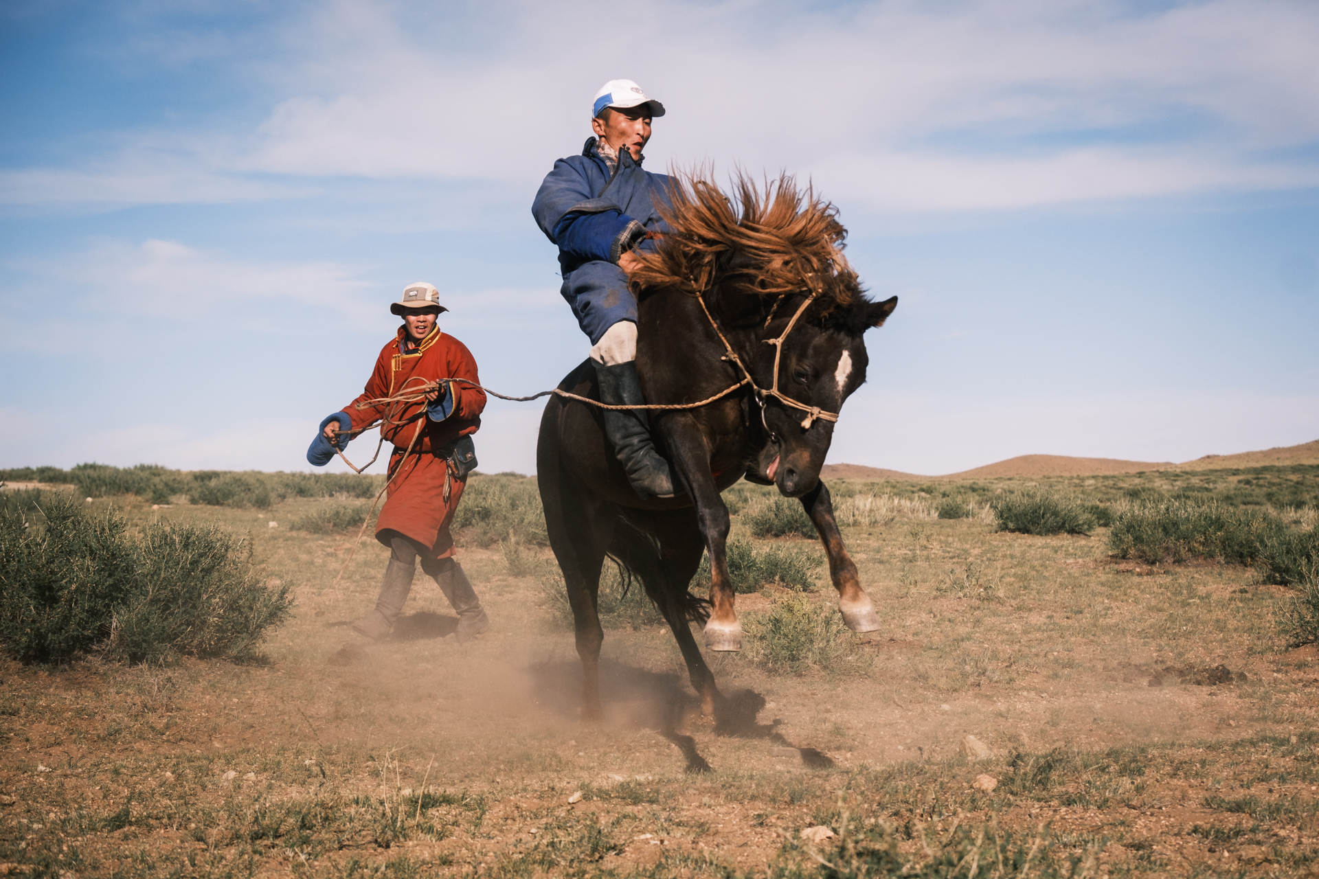 Nomads horse taming in the Gobi Desert.