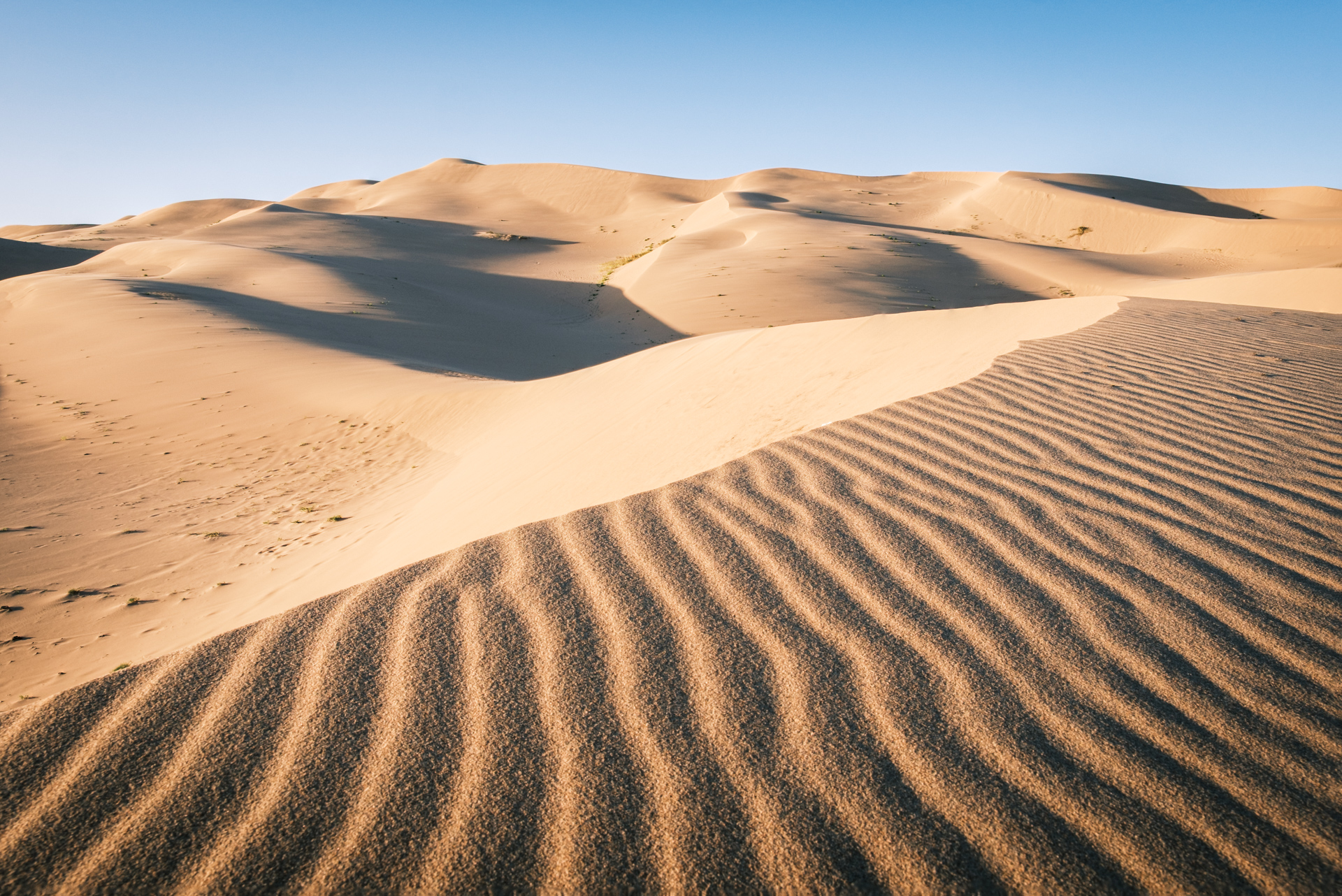 Patterns of Khongor Sanddunes.