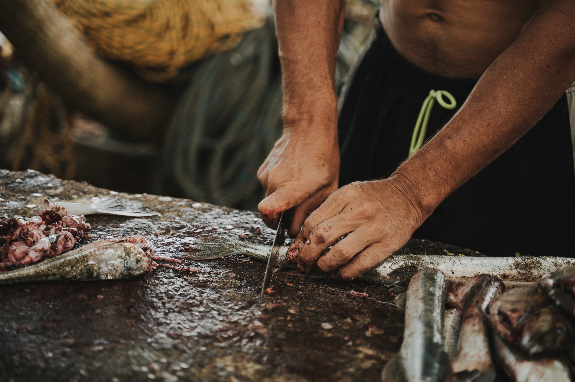 Eine detailreiche Szene am Fischmarkt, in der Hände, Messer und Arbeitsfläche die handwerkliche Zubereitung des frischen Fangs zeigen.
