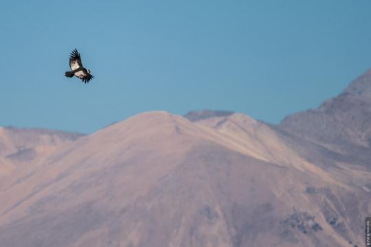 Fotoreise Peru // Oktober 2016