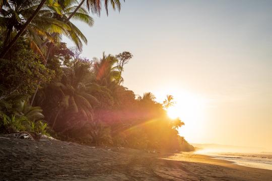 Costa Rica Osa Beach Sunflare